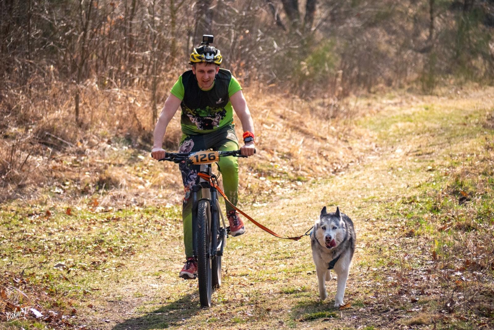 Zdjęcie w galerii na portalu naszraciborz.pl: Międzynarodowe wyścigi psich zaprzęgów w Kuźni Raciborskiej. Emocjonujący weekend Dog Adventure Sprint Race wiadomości z regionu