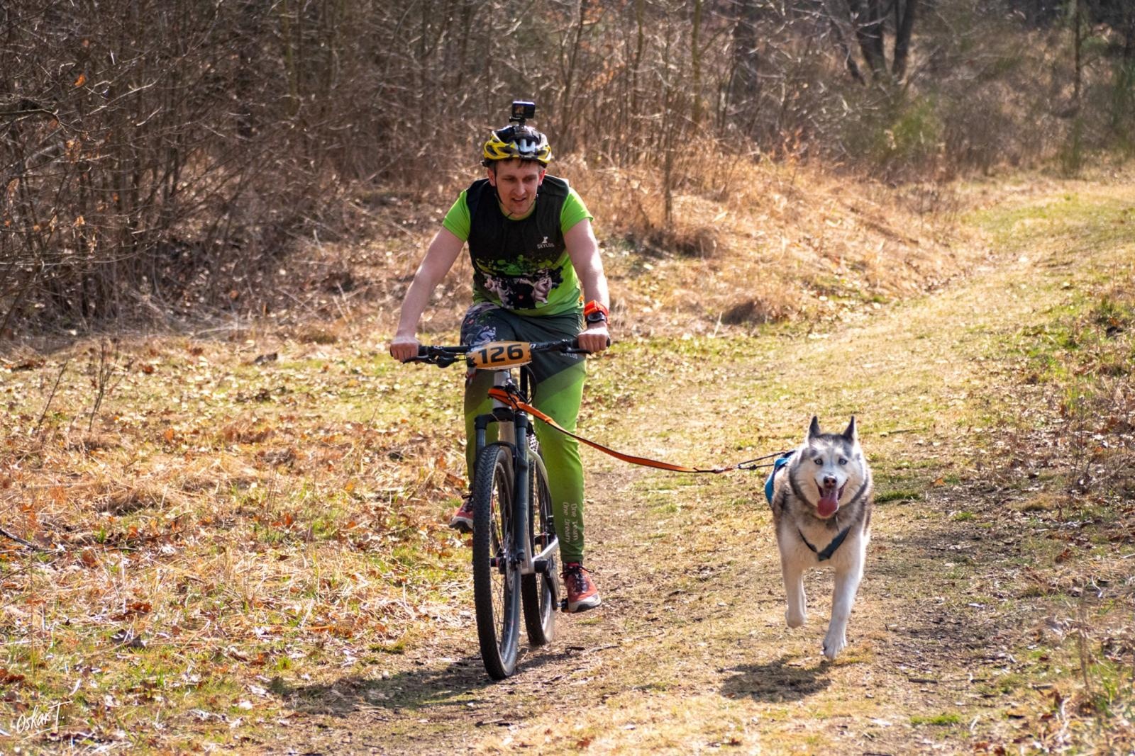 Zdjęcie w galerii na portalu naszraciborz.pl: Międzynarodowe wyścigi psich zaprzęgów w Kuźni Raciborskiej. Emocjonujący weekend Dog Adventure Sprint Race wiadomości z regionu