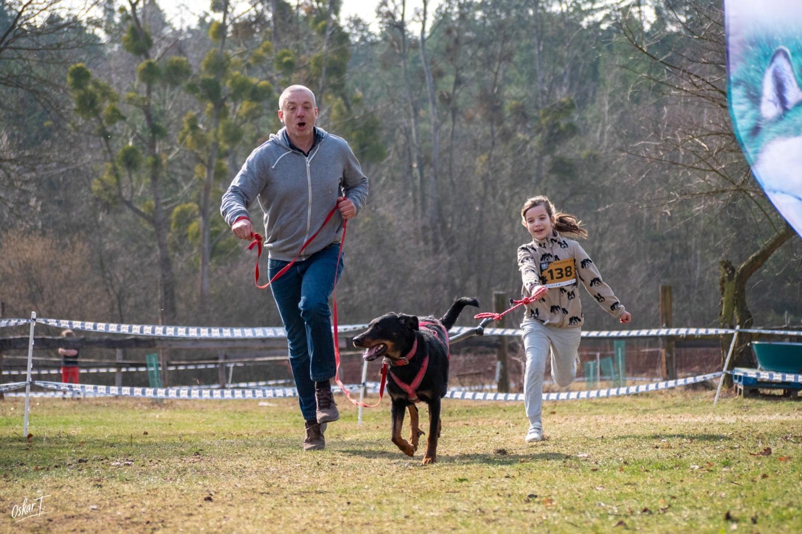 Zdjęcie w galerii na portalu naszraciborz.pl: Międzynarodowe wyścigi psich zaprzęgów w Kuźni Raciborskiej. Emocjonujący weekend Dog Adventure Sprint Race wiadomości z regionu