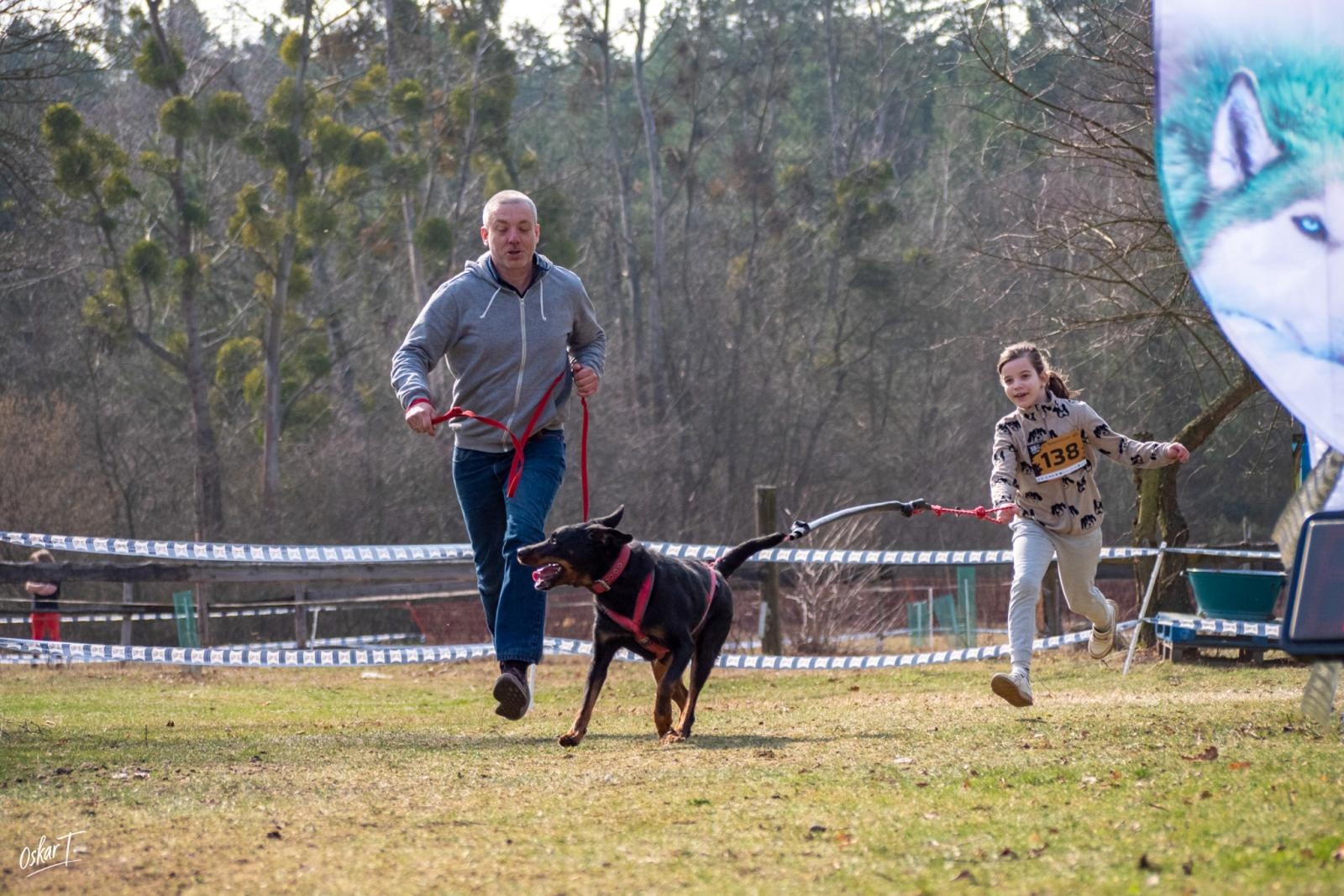 Zdjęcie w galerii na portalu naszraciborz.pl: Międzynarodowe wyścigi psich zaprzęgów w Kuźni Raciborskiej. Emocjonujący weekend Dog Adventure Sprint Race wiadomości z regionu