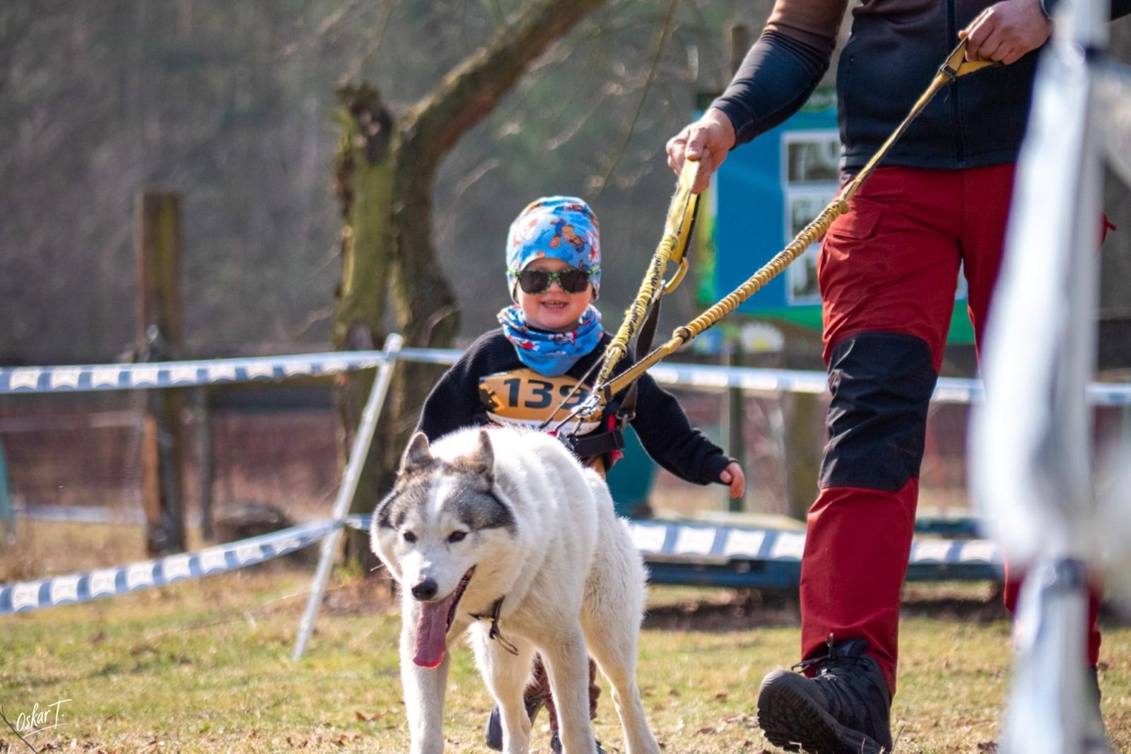 Zdjęcie w galerii na portalu naszraciborz.pl: Międzynarodowe wyścigi psich zaprzęgów w Kuźni Raciborskiej. Emocjonujący weekend Dog Adventure Sprint Race wiadomości z regionu