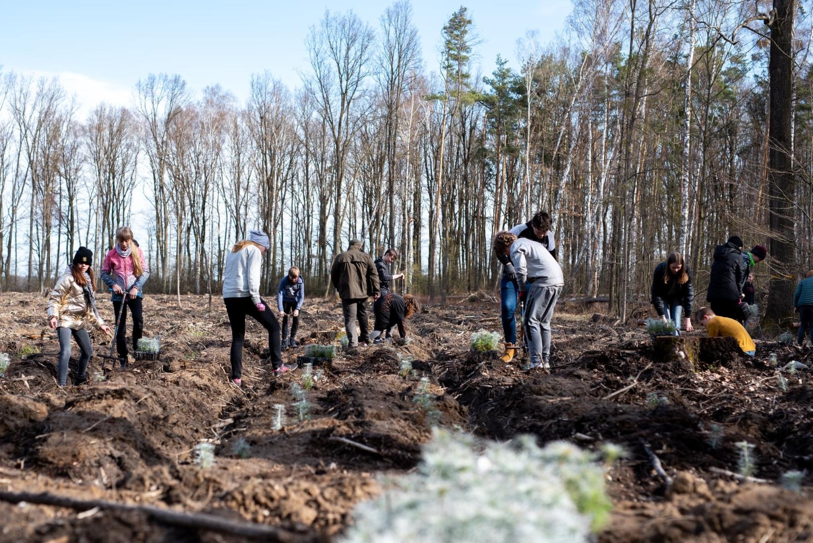 Zdjęcie w galerii na portalu naszraciborz.pl: Posadź las z leśnikiem  wiadomości z regionu