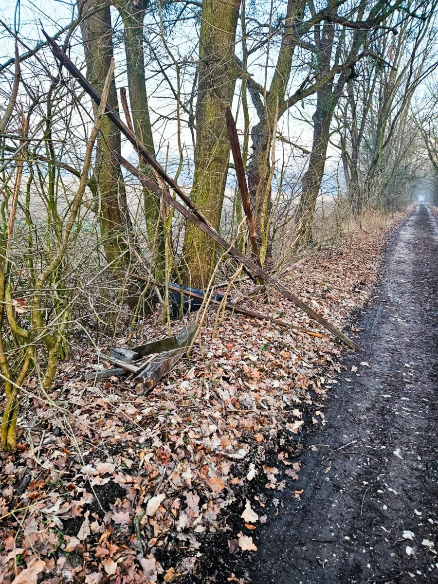 Zdjęcie w galerii na portalu naszraciborz.pl: Smutne obrazki z rezerwatu Łężczok [FOTO] wiadomości z regionu