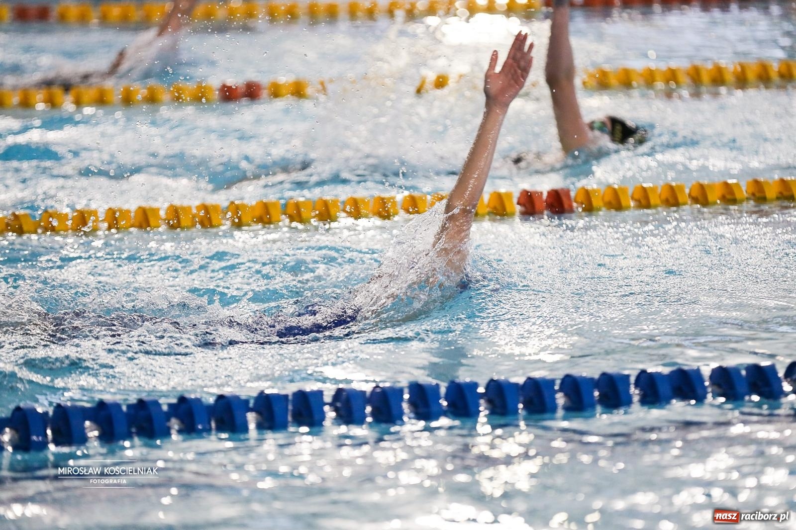 Zdjęcie w galerii na portalu naszraciborz.pl: Mistrzostwa Szkół Sportowych Racibórz 2026. Ponad 380 zawodników na pływalni H2Ostróg [FOTO] wiadomości z regionu