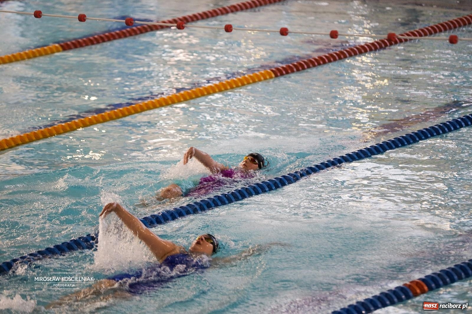 Zdjęcie w galerii na portalu naszraciborz.pl: Mistrzostwa Szkół Sportowych Racibórz 2026. Ponad 380 zawodników na pływalni H2Ostróg [FOTO] wiadomości z regionu