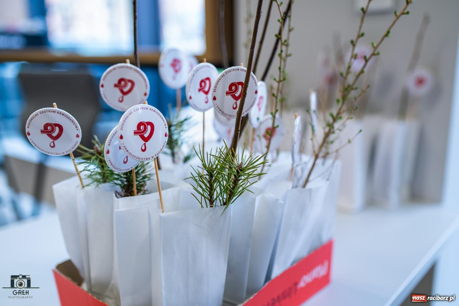 Zdjęcie w galerii na portalu naszraciborz.pl: 25 bohaterów uhonorowanych. Akcja krwiodawstwa z zielonym akcentem w Raciborzu [FOTO i WIDEO] wiadomości z regionu