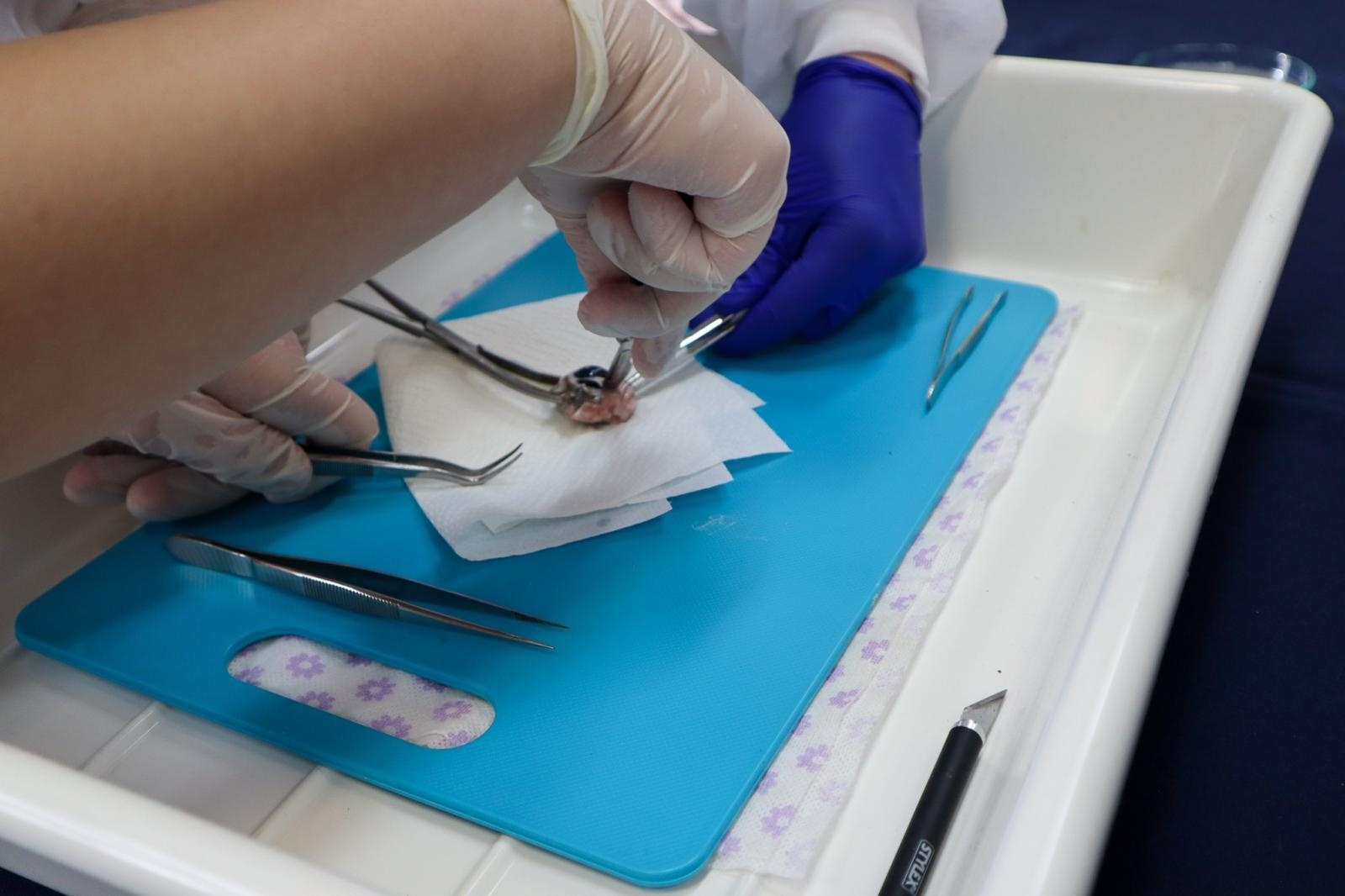 Zdjęcie w galerii na portalu naszraciborz.pl: Trwają dni otwarte szkół ponadpodstawowych w powiecie raciborskim. Ponad tysiąc miejsc czeka na absolwentów podstawówek wiadomości z regionu