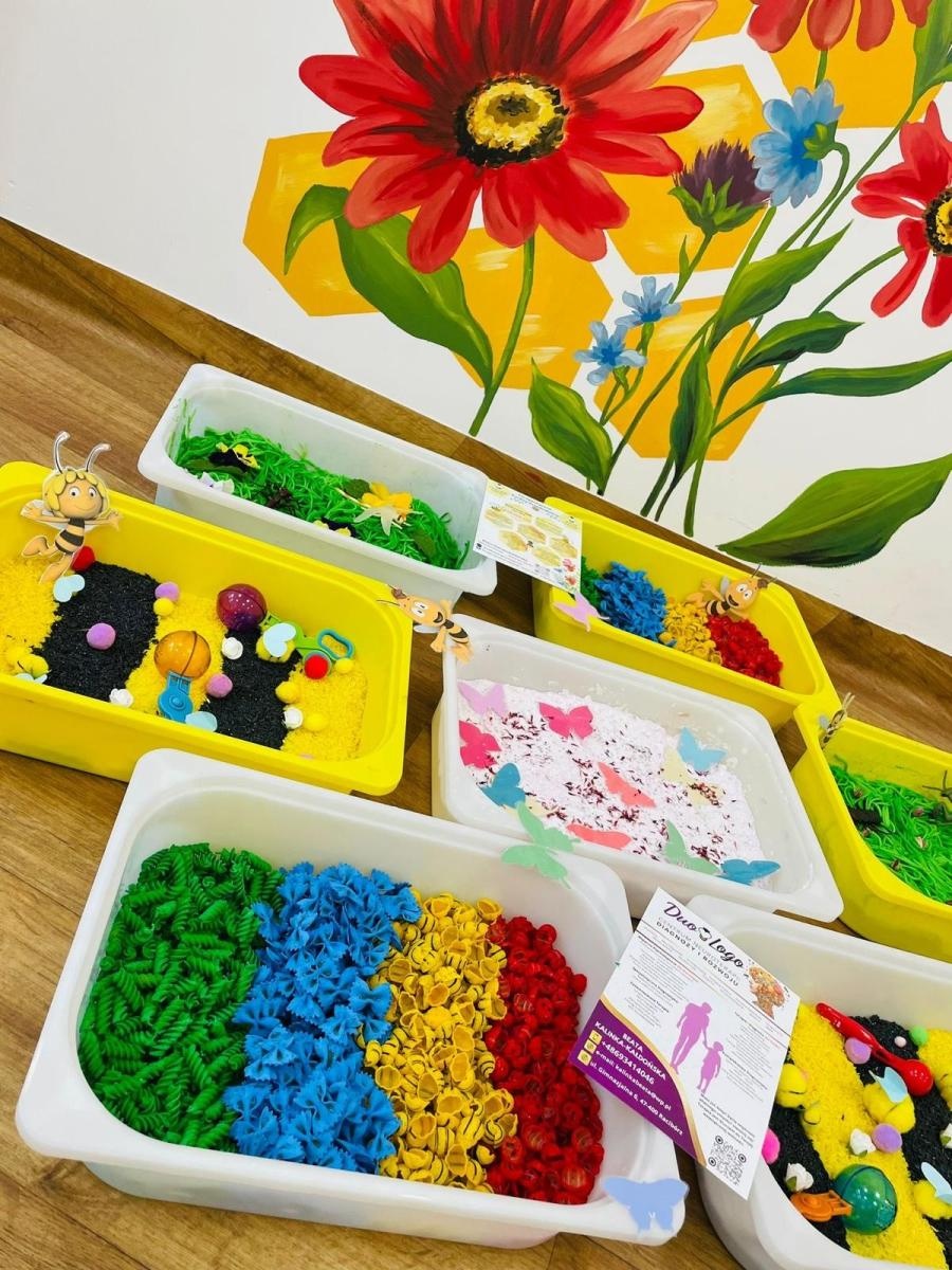 Zdjęcie w galerii na portalu naszraciborz.pl: Sukces zrodzony z pasji: Raciborskie przedszkola Gucio i Maja najlepsze na Śląsku i docenione na szczeblu ogólnopolskim! wiadomości z regionu