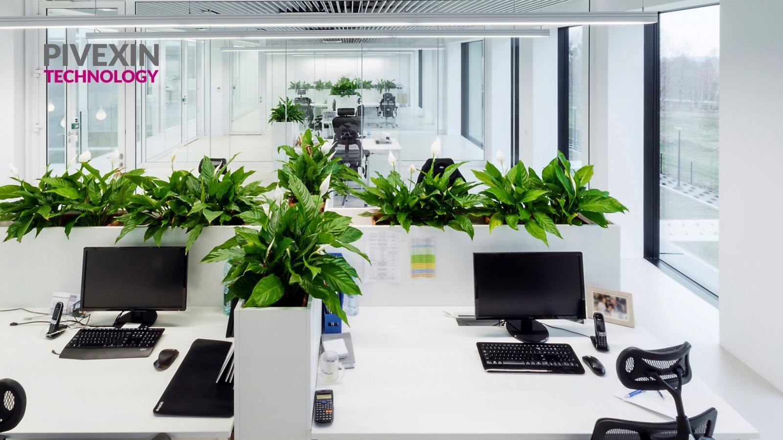 Zdjęcie w galerii na portalu naszraciborz.pl: Nowa praca, nowe możliwości. Dołącz do PIVEXIN TECHNOLOGY!  wiadomości z regionu