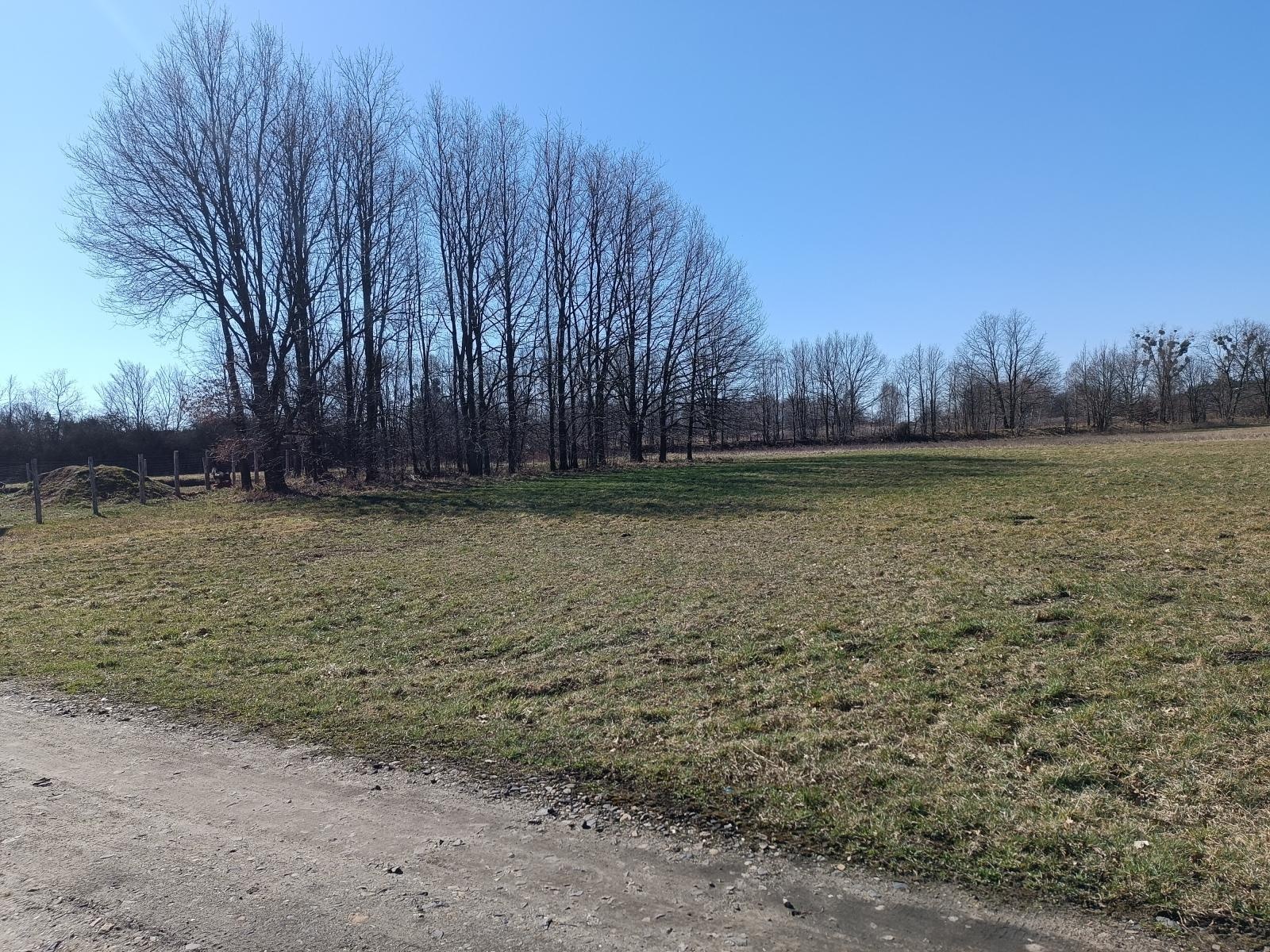 Zdjęcie w galerii na portalu naszraciborz.pl: Informacja o sprzedaży w trybie przetargu ustnego nieograniczonego nieruchomości położonej w Nędzy wiadomości z regionu