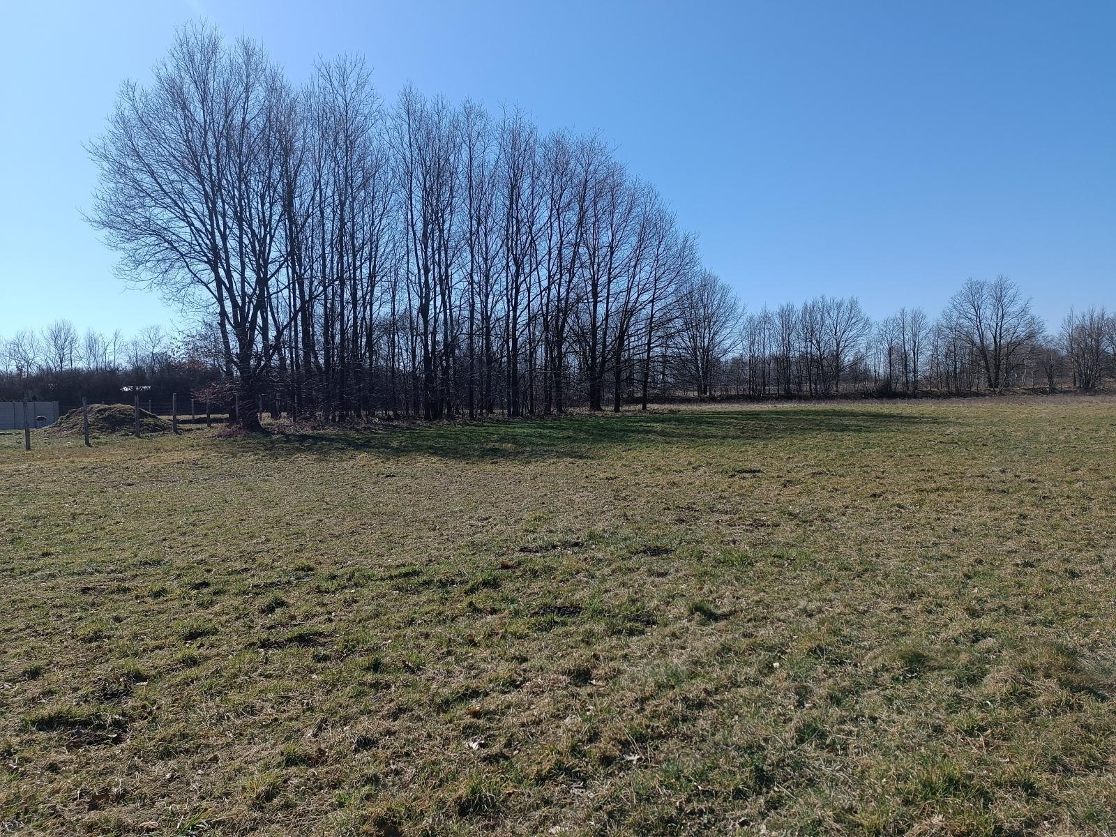 Zdjęcie w galerii na portalu naszraciborz.pl: Informacja o sprzedaży w trybie przetargu ustnego nieograniczonego nieruchomości położonej w Nędzy wiadomości z regionu