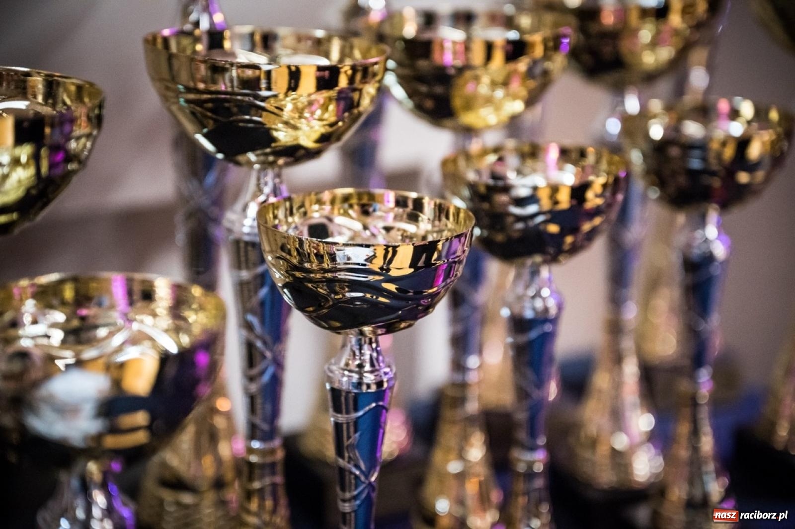 Zdjęcie w galerii na portalu naszraciborz.pl: Racibórz areną krajowej rywalizacji. Na zamku trwają XXVI Mistrzostwa Polski w Armwrestlingu wiadomości z regionu