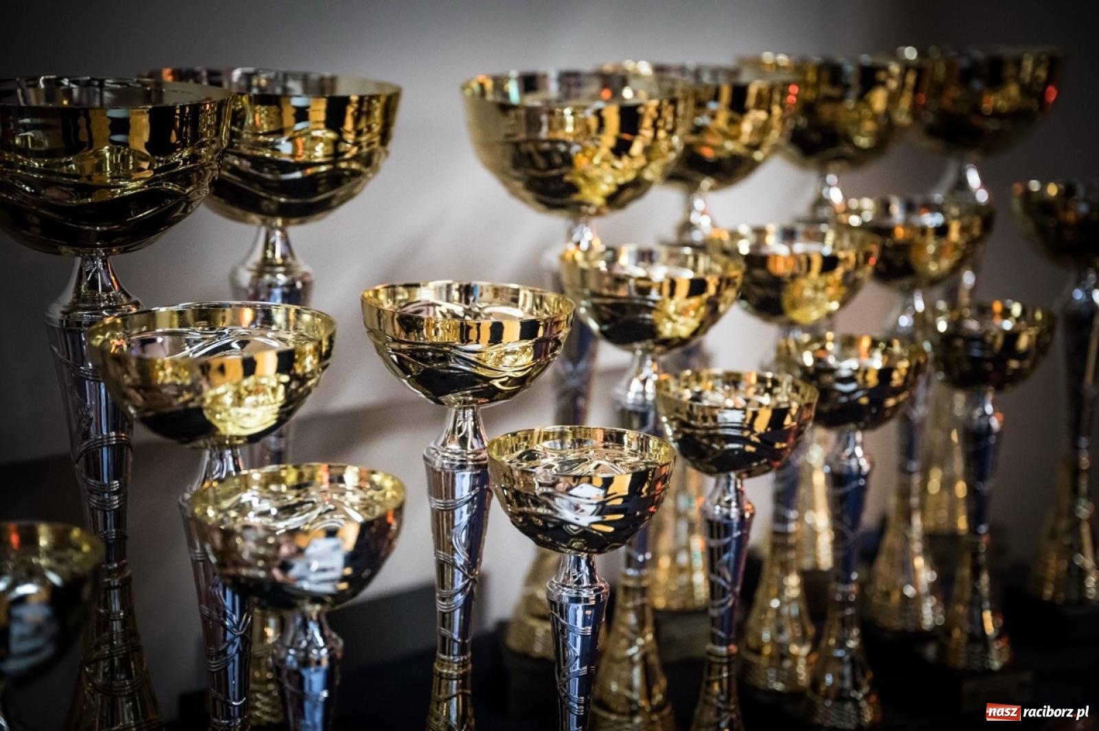 Zdjęcie w galerii na portalu naszraciborz.pl: Racibórz areną krajowej rywalizacji. Na zamku trwają XXVI Mistrzostwa Polski w Armwrestlingu wiadomości z regionu