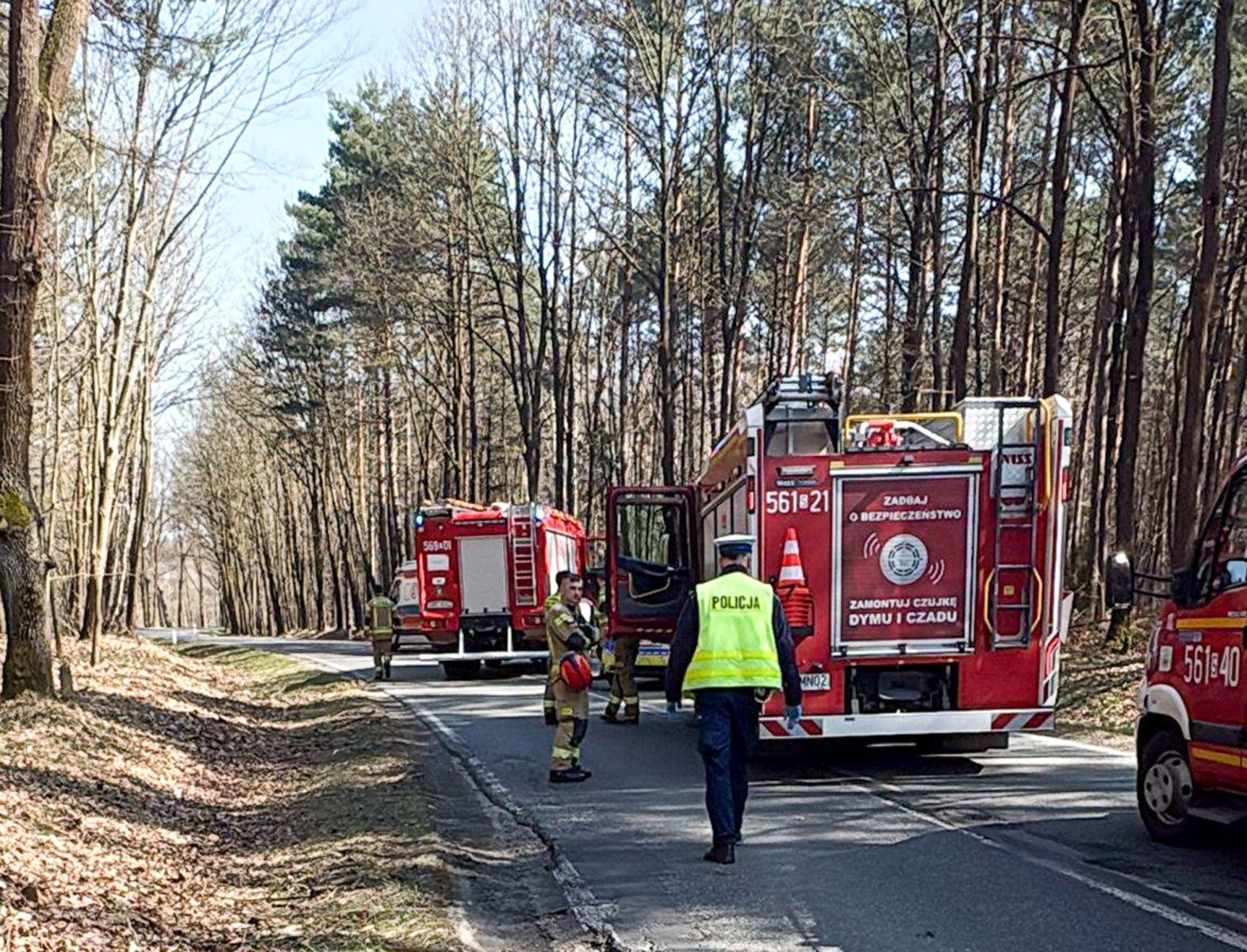 Zdjęcie w galerii na portalu naszraciborz.pl: Tragiczny wypadek na drodze pomiędzy Kuźnią Raciborską a Rudą Kozielską [FOTO] wiadomości z regionu
