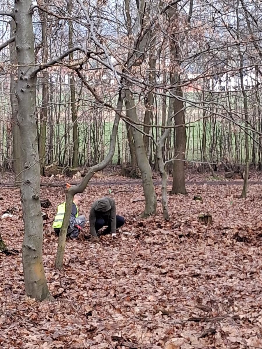 Zdjęcie w galerii na portalu naszraciborz.pl: Ależ się zazieleniło w Raciborzu. Trzecia akcja drzewaTOprzyszłość Raciborskich Wolontariuszy wiadomości z regionu