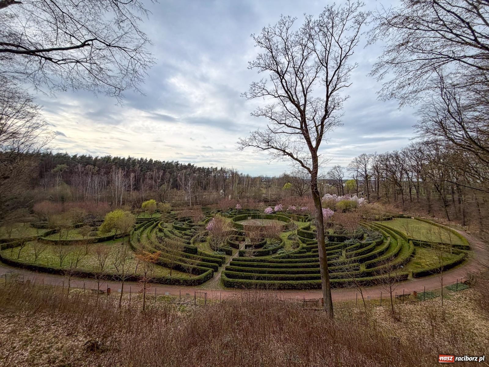 Zdjęcie w galerii na portalu naszraciborz.pl: Tak zmienia się raciborskie zoo. Nowy zwierzyniec gotowy jesienią wiadomości z regionu