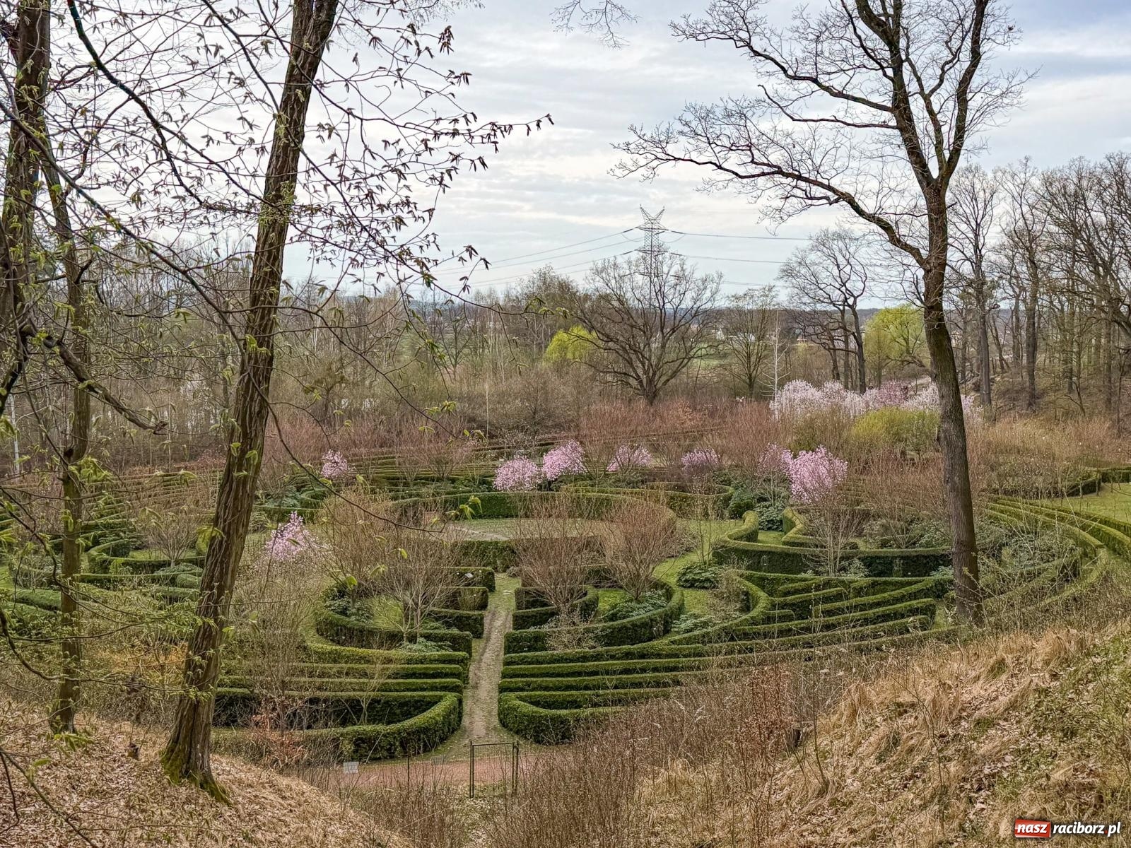 Zdjęcie w galerii na portalu naszraciborz.pl: Tak zmienia się raciborskie zoo. Nowy zwierzyniec gotowy jesienią wiadomości z regionu