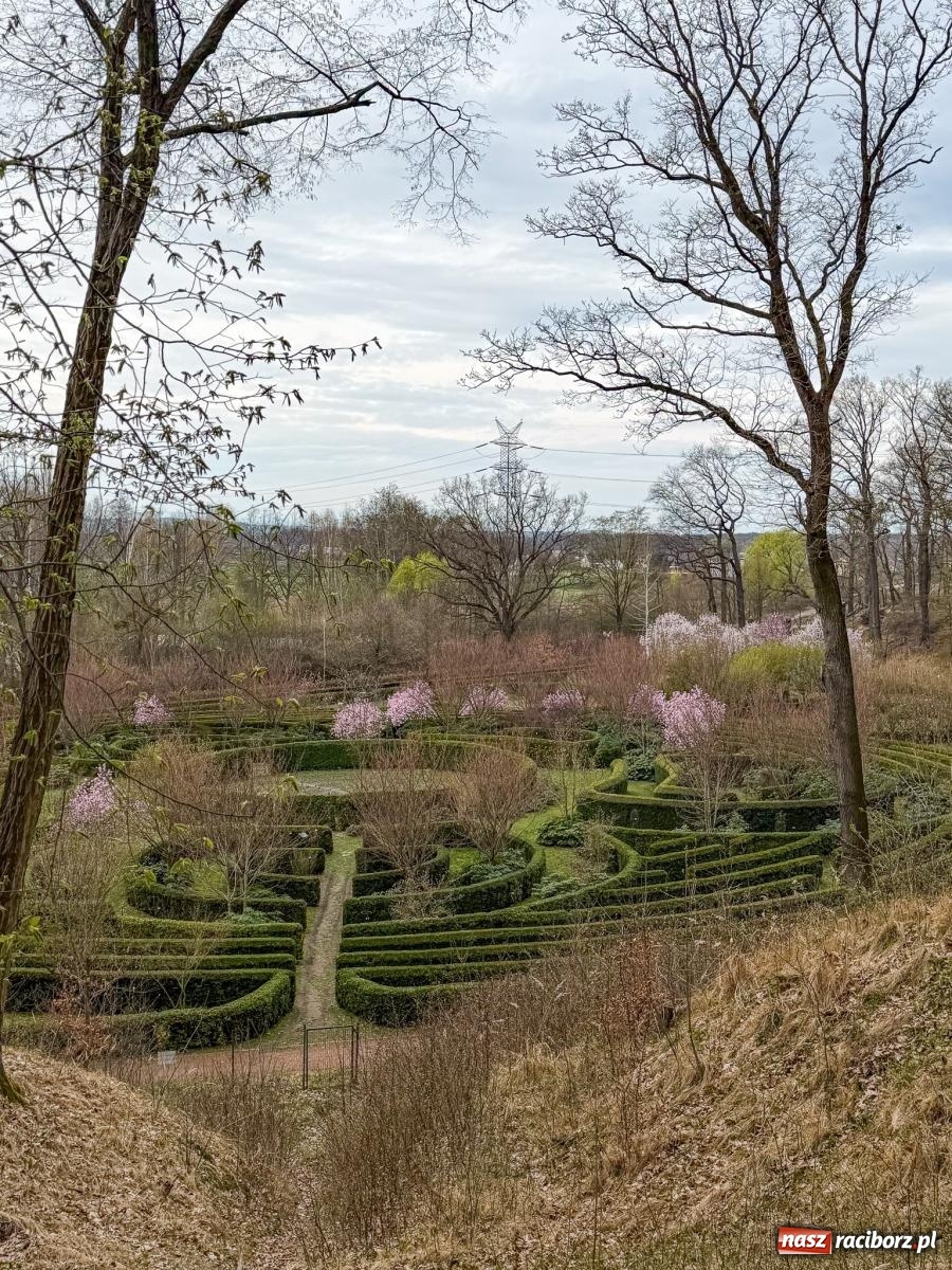 Zdjęcie w galerii na portalu naszraciborz.pl: Tak zmienia się raciborskie zoo. Nowy zwierzyniec gotowy jesienią wiadomości z regionu
