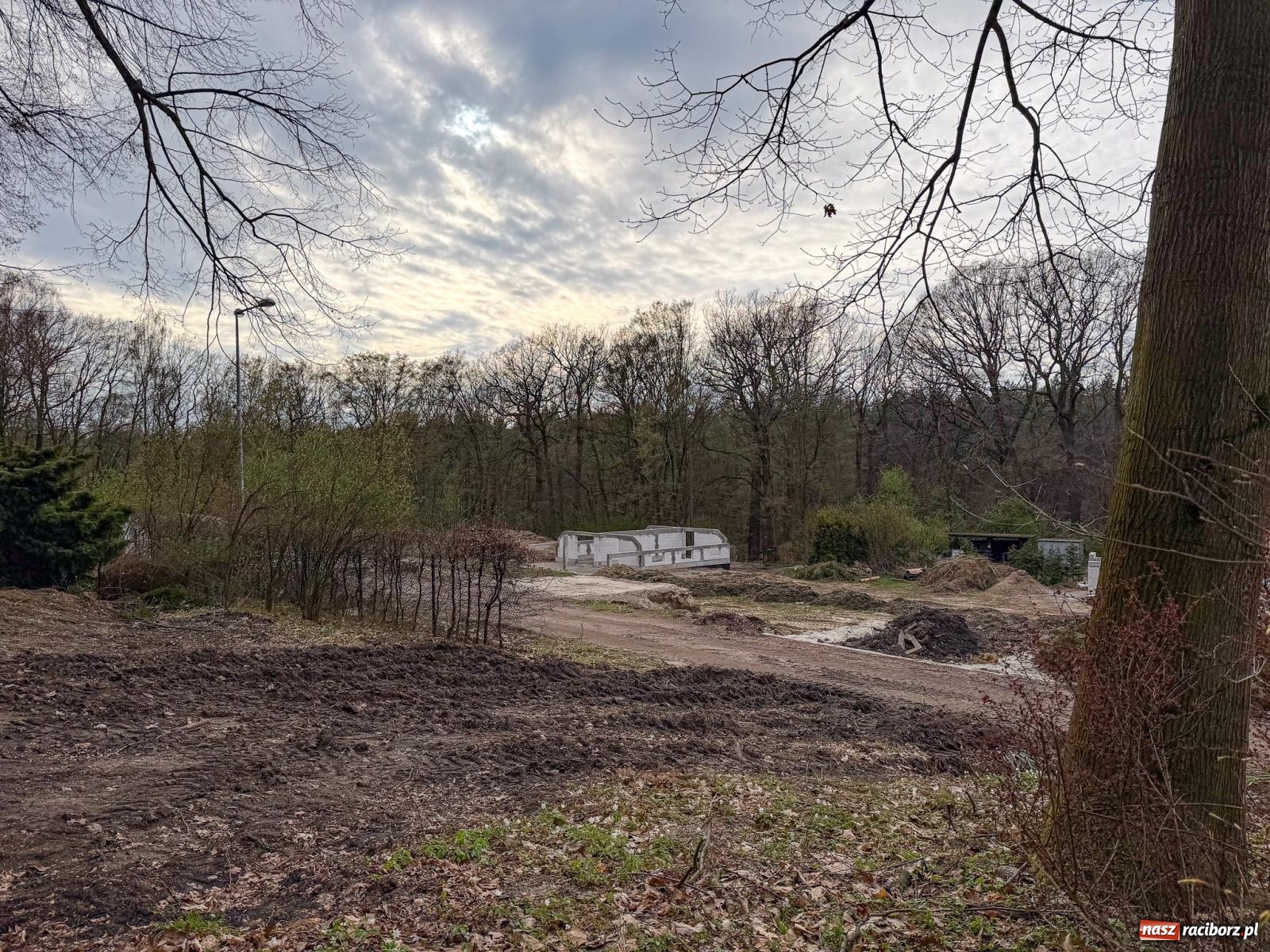 Zdjęcie w galerii na portalu naszraciborz.pl: Tak zmienia się raciborskie zoo. Nowy zwierzyniec gotowy jesienią wiadomości z regionu