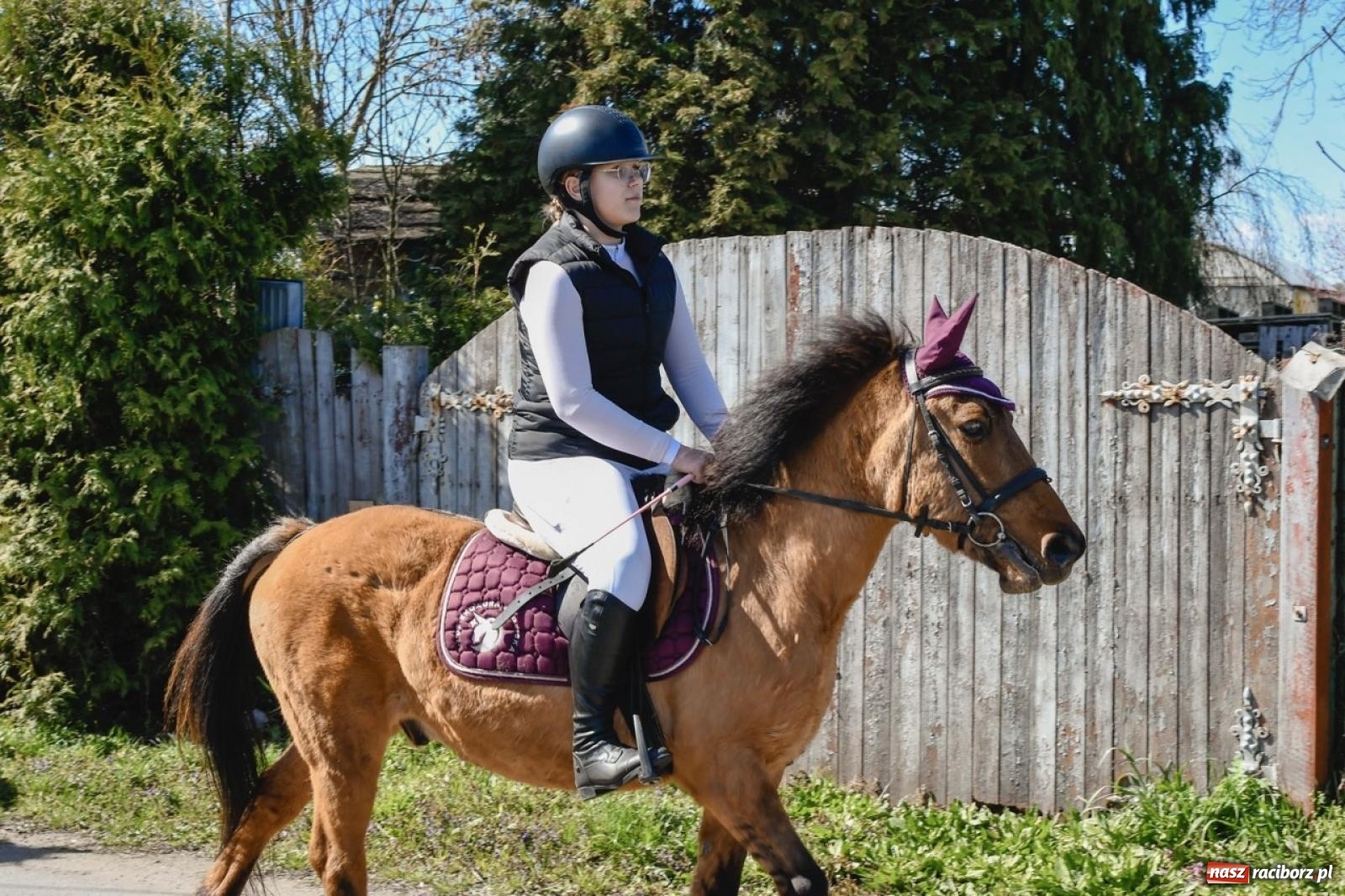 Zdjęcie w galerii na portalu naszraciborz.pl: Wielkanocna procesja konna w Zawadzie Książęcej przeszła polami trójwsi [FOTO i WIDEO] wiadomości z regionu