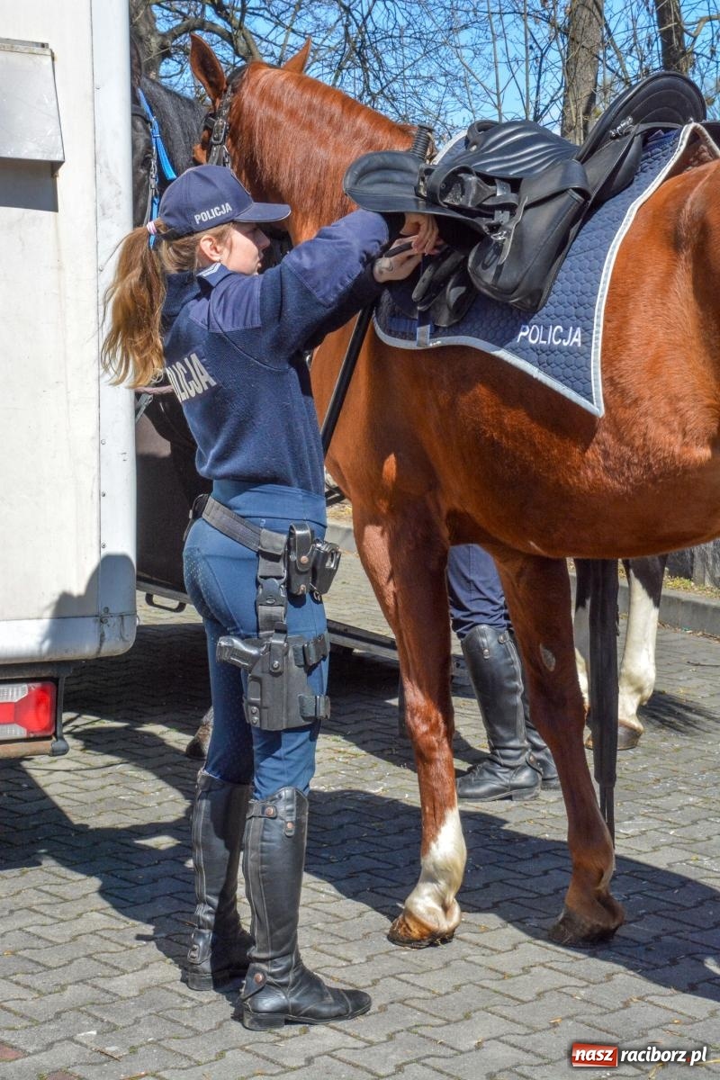 Zdjęcie w galerii na portalu naszraciborz.pl: Pietrowice Wielkie: 101 koni, policjanci w siodle i husaria - wielkanocna tradycja procesji błagalnej [FOTO i WIDEO] wiadomości z regionu