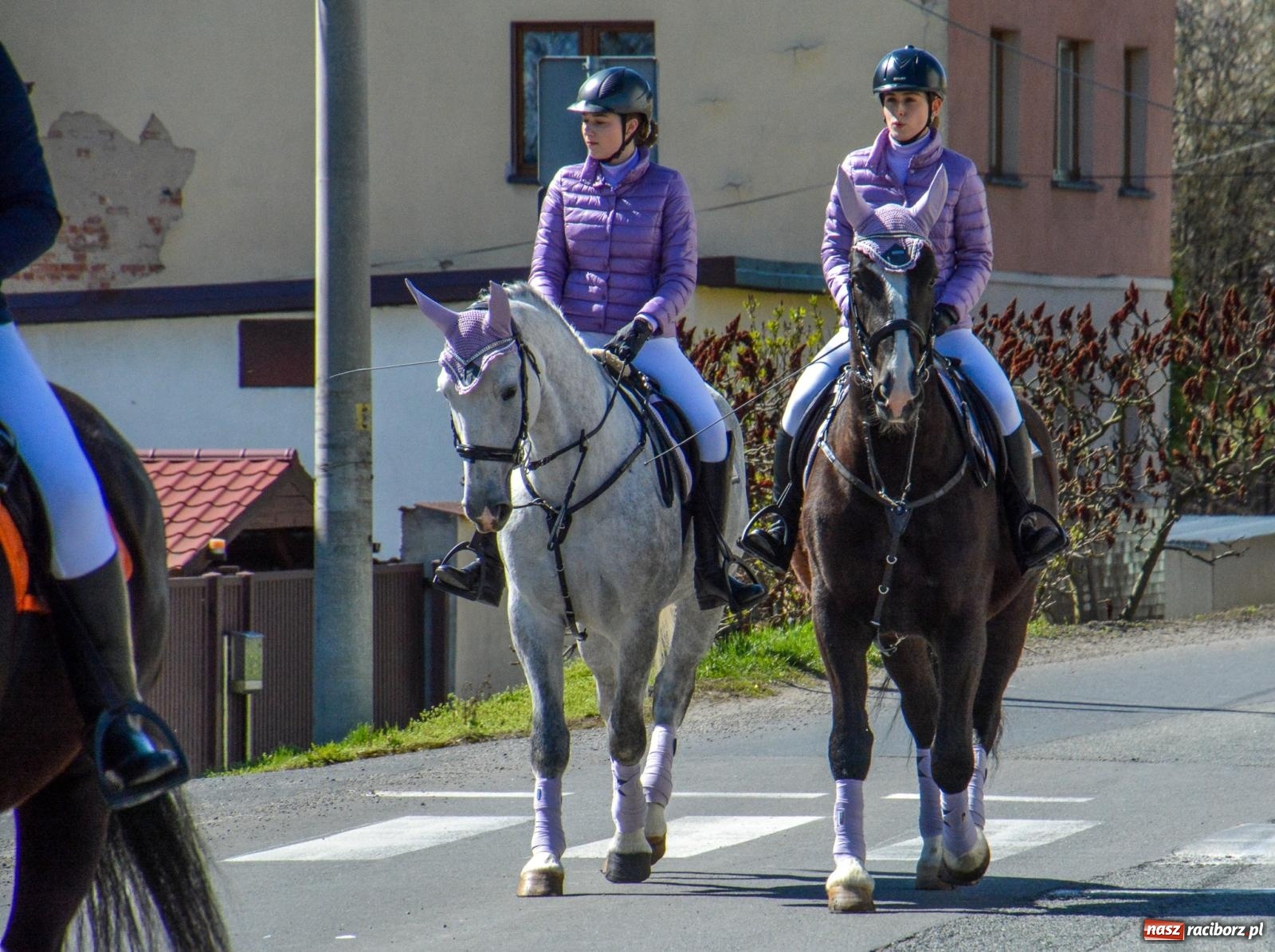 Zdjęcie w galerii na portalu naszraciborz.pl: Pietrowice Wielkie: 101 koni, policjanci w siodle i husaria - wielkanocna tradycja procesji błagalnej [FOTO i WIDEO] wiadomości z regionu