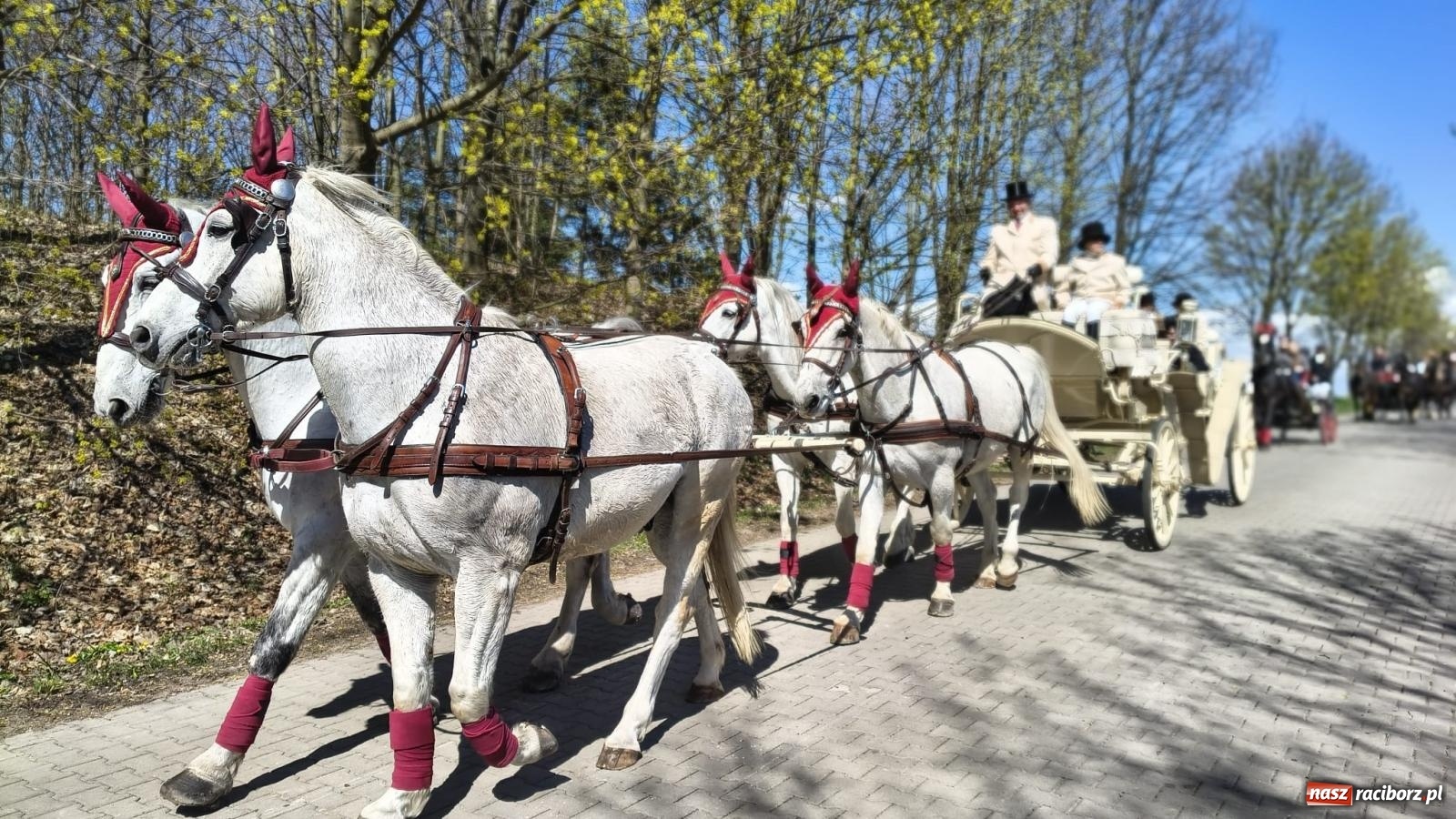 Zdjęcie w galerii na portalu naszraciborz.pl: Pietrowice Wielkie: 101 koni, policjanci w siodle i husaria - wielkanocna tradycja procesji błagalnej [FOTO i WIDEO] wiadomości z regionu