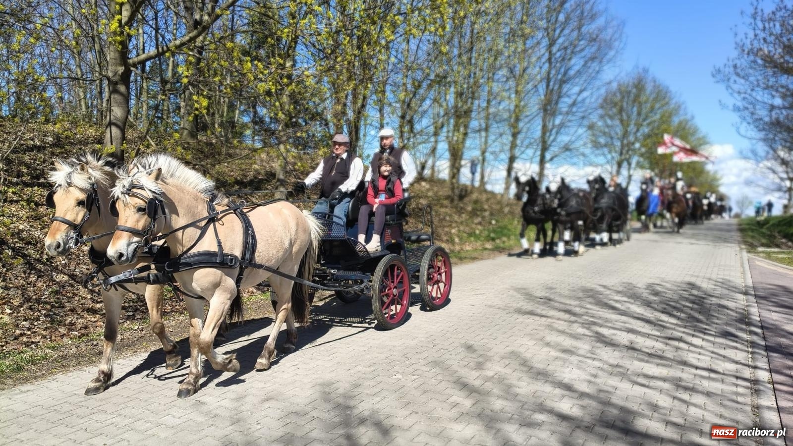 Zdjęcie w galerii na portalu naszraciborz.pl: Pietrowice Wielkie: 101 koni, policjanci w siodle i husaria - wielkanocna tradycja procesji błagalnej [FOTO i WIDEO] wiadomości z regionu