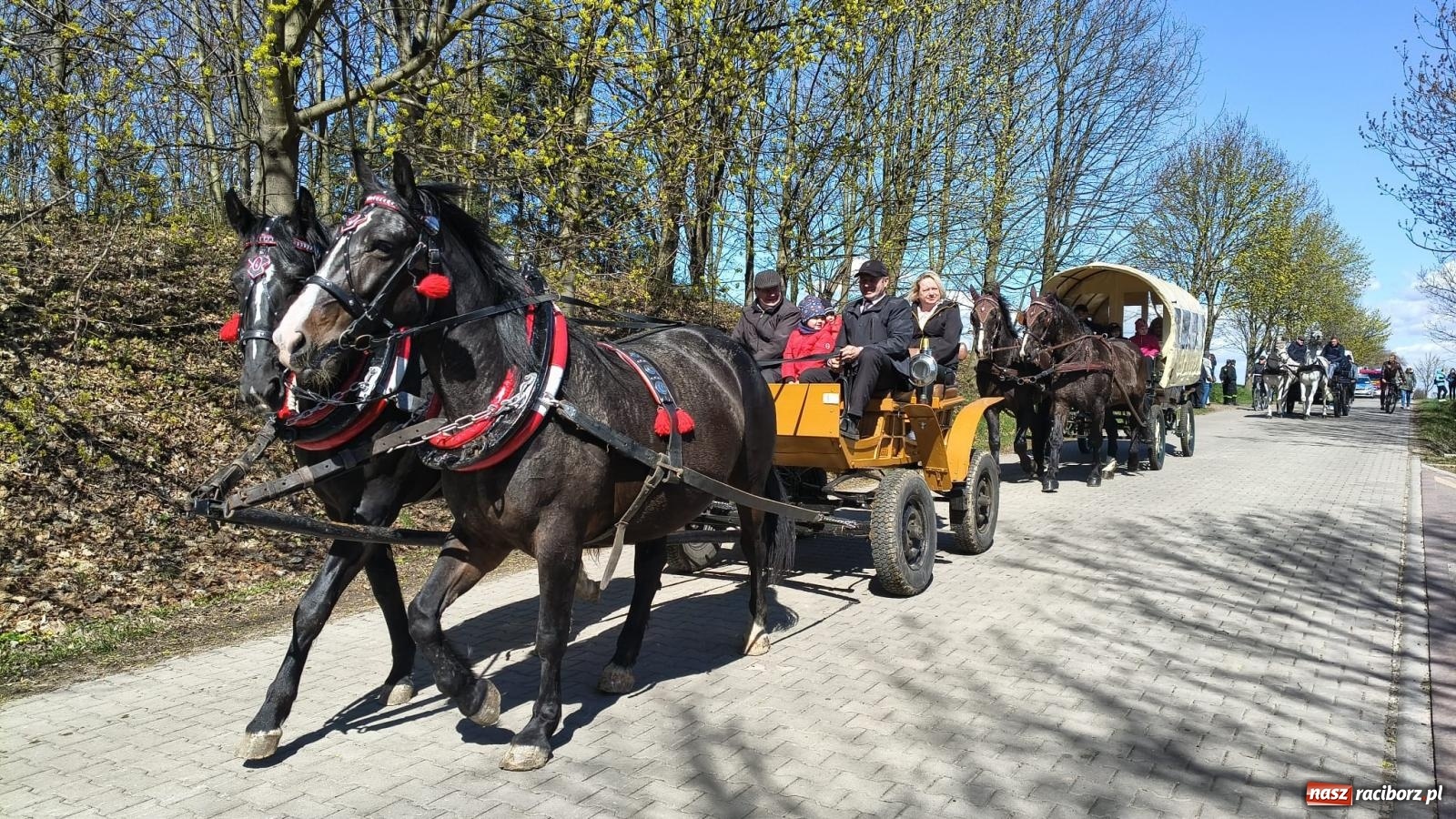 Zdjęcie w galerii na portalu naszraciborz.pl: Pietrowice Wielkie: 101 koni, policjanci w siodle i husaria - wielkanocna tradycja procesji błagalnej [FOTO i WIDEO] wiadomości z regionu