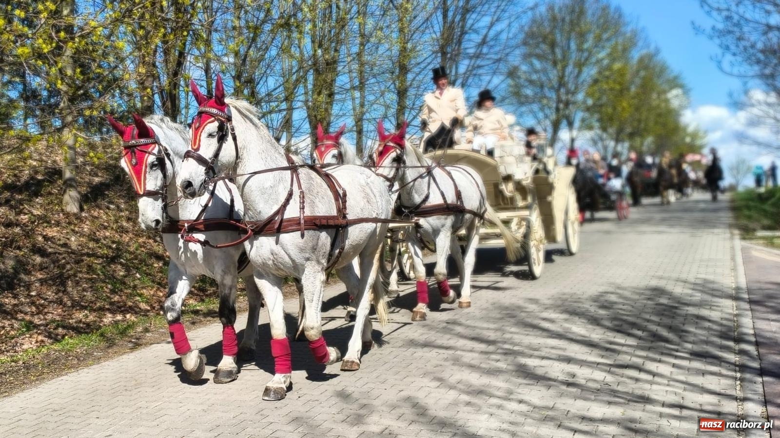 Zdjęcie w galerii na portalu naszraciborz.pl: Pietrowice Wielkie: 101 koni, policjanci w siodle i husaria - wielkanocna tradycja procesji błagalnej [FOTO i WIDEO] wiadomości z regionu