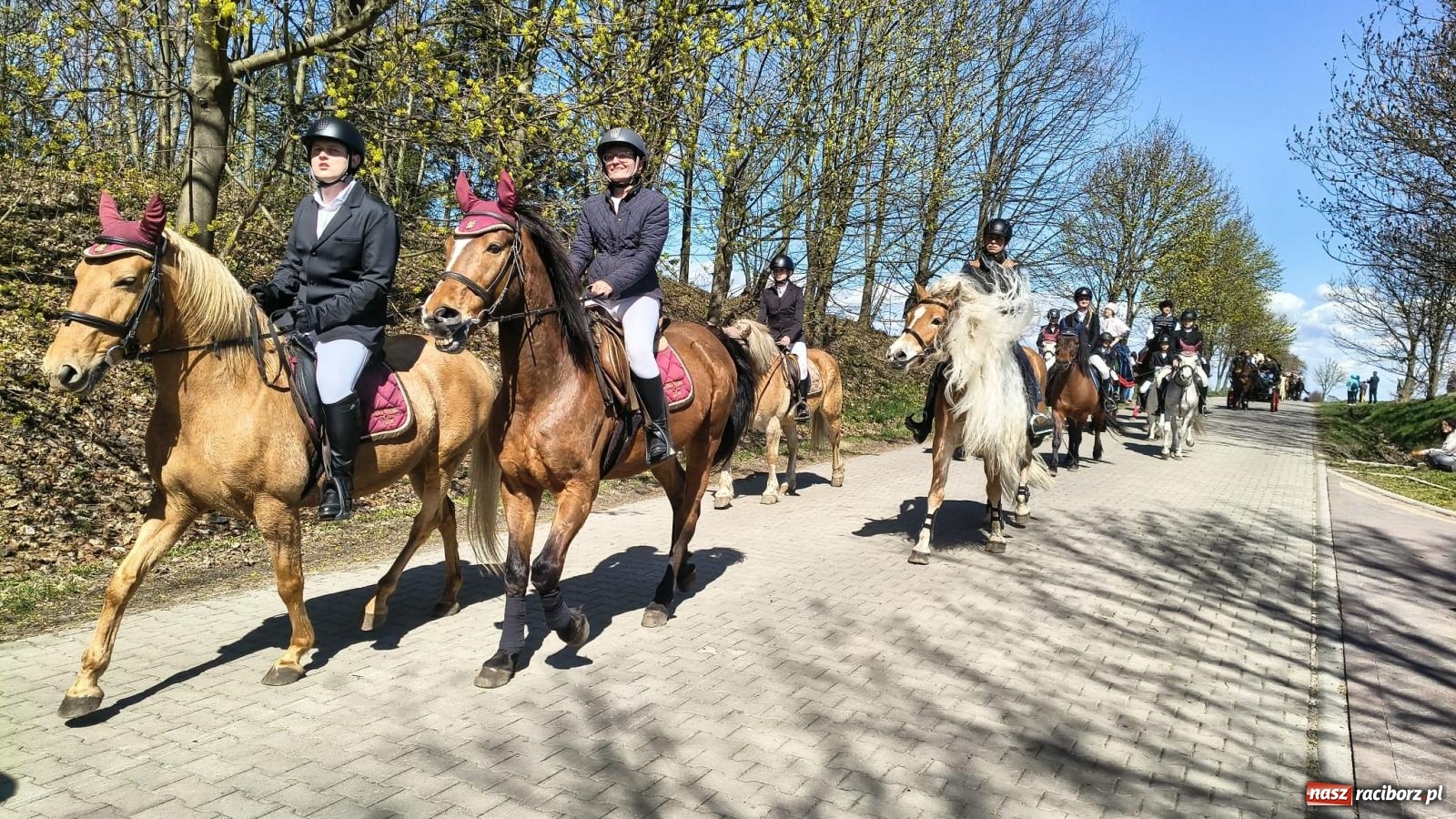 Zdjęcie w galerii na portalu naszraciborz.pl: Pietrowice Wielkie: 101 koni, policjanci w siodle i husaria - wielkanocna tradycja procesji błagalnej [FOTO i WIDEO] wiadomości z regionu