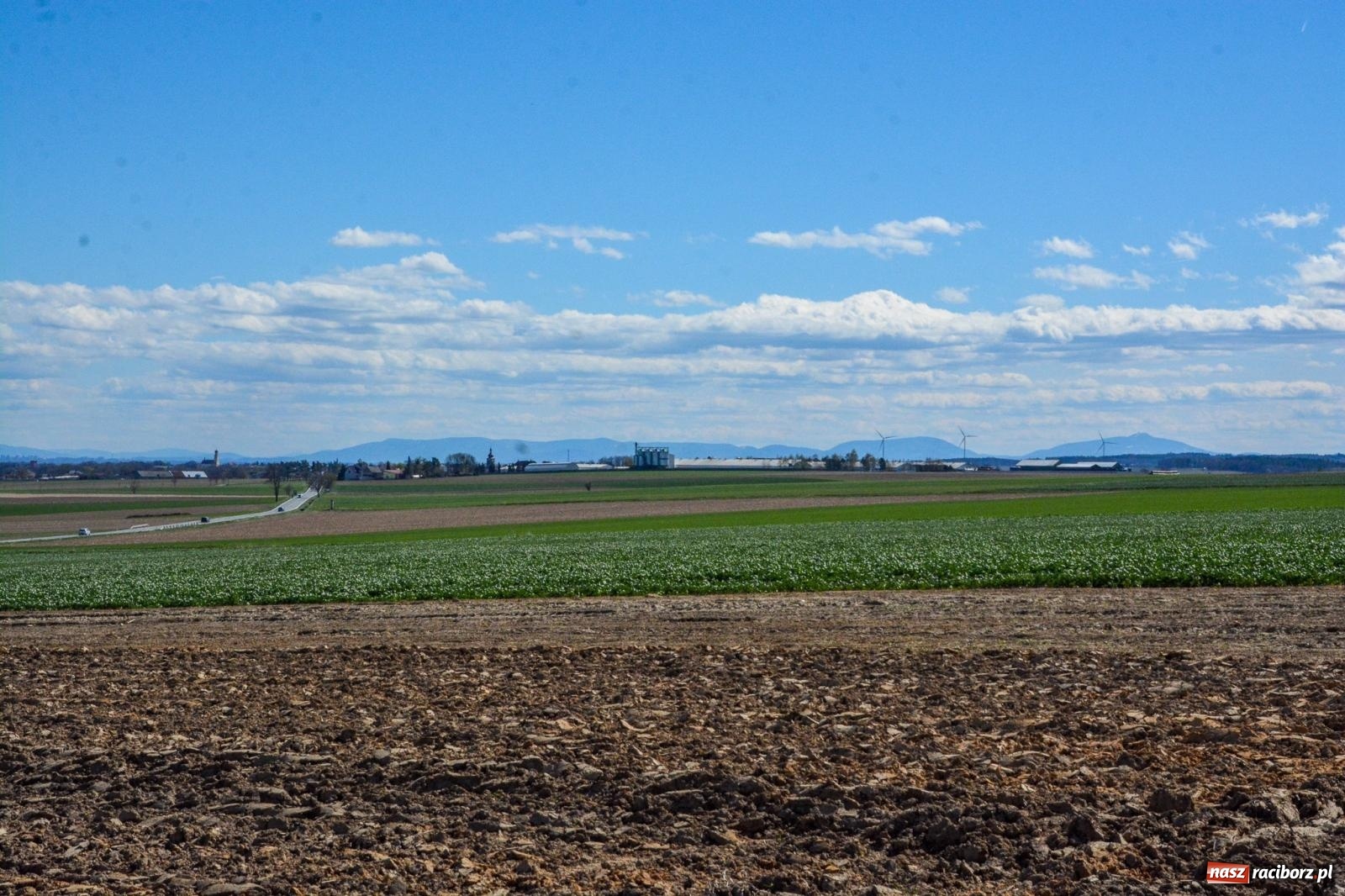 Zdjęcie w galerii na portalu naszraciborz.pl: Bieńkowice: średniowieczna tradycja wciąż żywa - ponad sto koni w procesji [FOTO i WIDEO] wiadomości z regionu