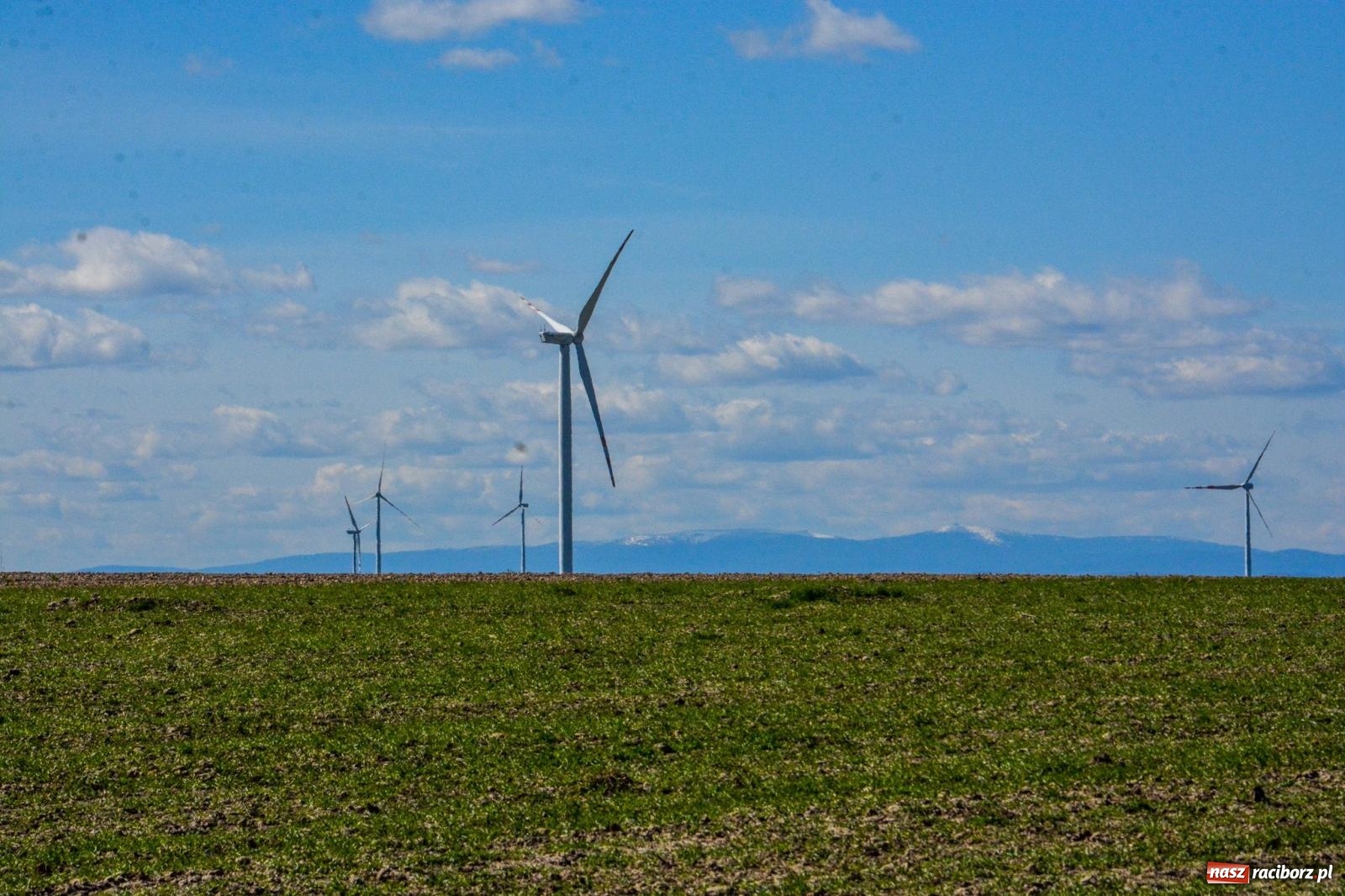 Zdjęcie w galerii na portalu naszraciborz.pl: Bieńkowice: średniowieczna tradycja wciąż żywa - ponad sto koni w procesji [FOTO i WIDEO] wiadomości z regionu
