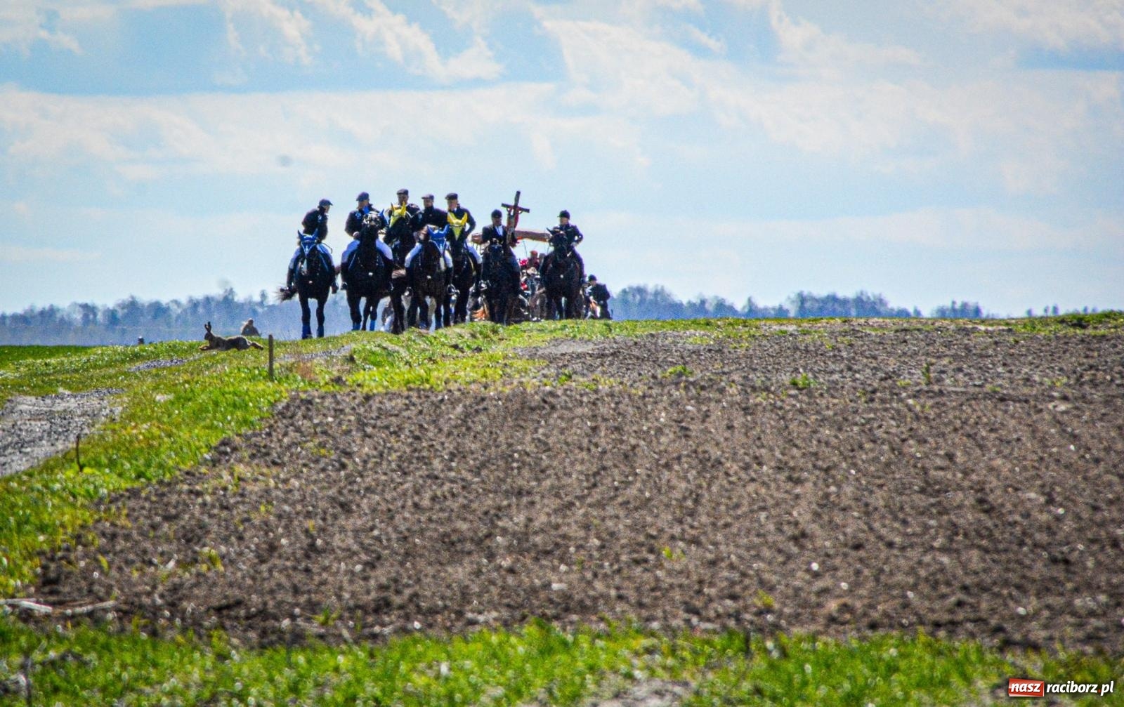 Zdjęcie w galerii na portalu naszraciborz.pl: Bieńkowice: średniowieczna tradycja wciąż żywa - ponad sto koni w procesji [FOTO i WIDEO] wiadomości z regionu