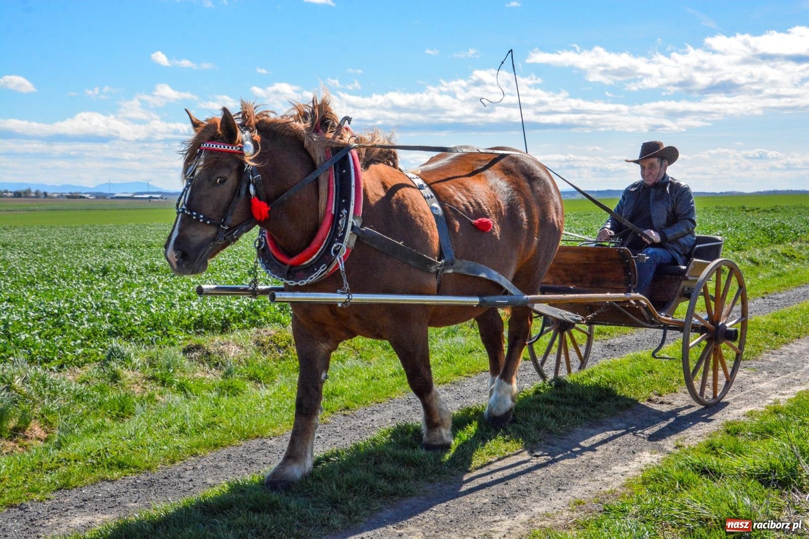 Zdjęcie w galerii na portalu naszraciborz.pl: Bieńkowice: średniowieczna tradycja wciąż żywa - ponad sto koni w procesji [FOTO i WIDEO] wiadomości z regionu