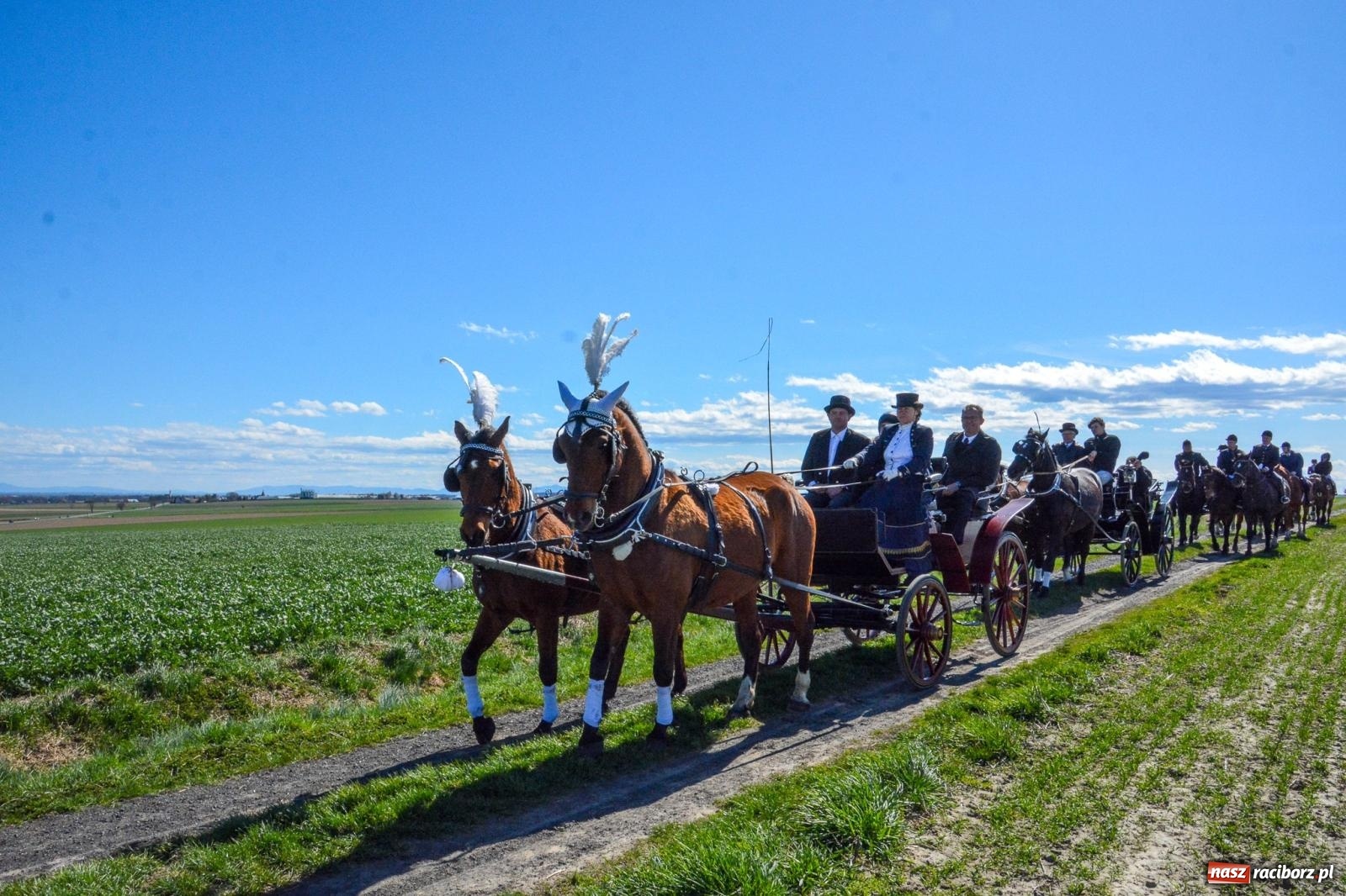 Zdjęcie w galerii na portalu naszraciborz.pl: Bieńkowice: średniowieczna tradycja wciąż żywa - ponad sto koni w procesji [FOTO i WIDEO] wiadomości z regionu