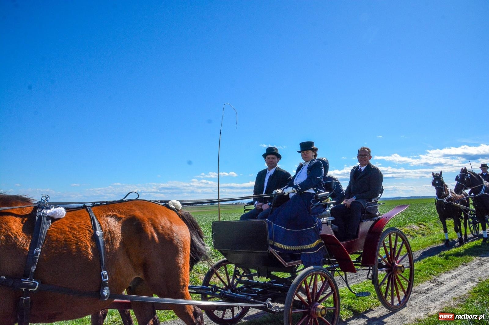 Zdjęcie w galerii na portalu naszraciborz.pl: Bieńkowice: średniowieczna tradycja wciąż żywa - ponad sto koni w procesji [FOTO i WIDEO] wiadomości z regionu