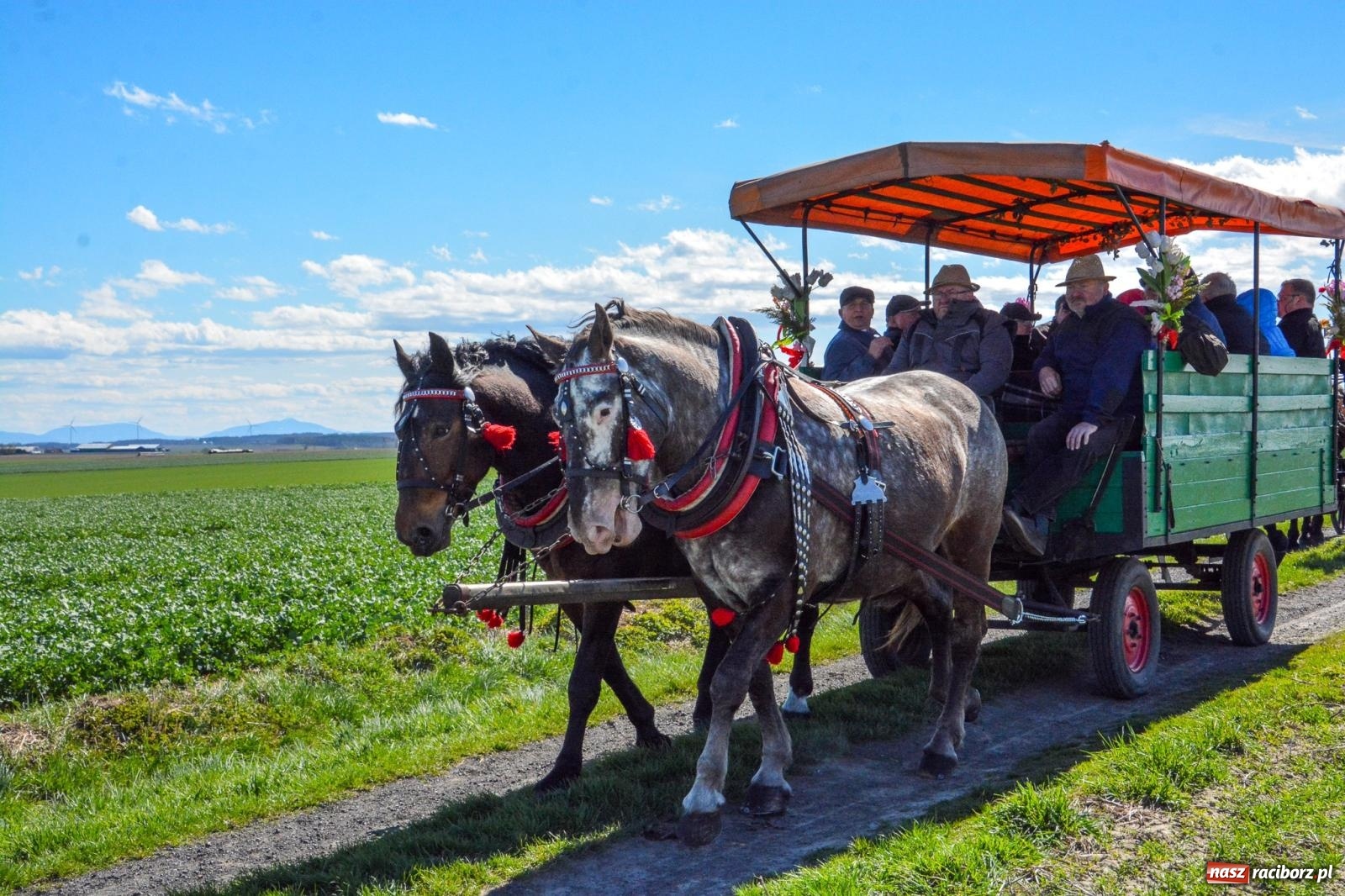 Zdjęcie w galerii na portalu naszraciborz.pl: Bieńkowice: średniowieczna tradycja wciąż żywa - ponad sto koni w procesji [FOTO i WIDEO] wiadomości z regionu