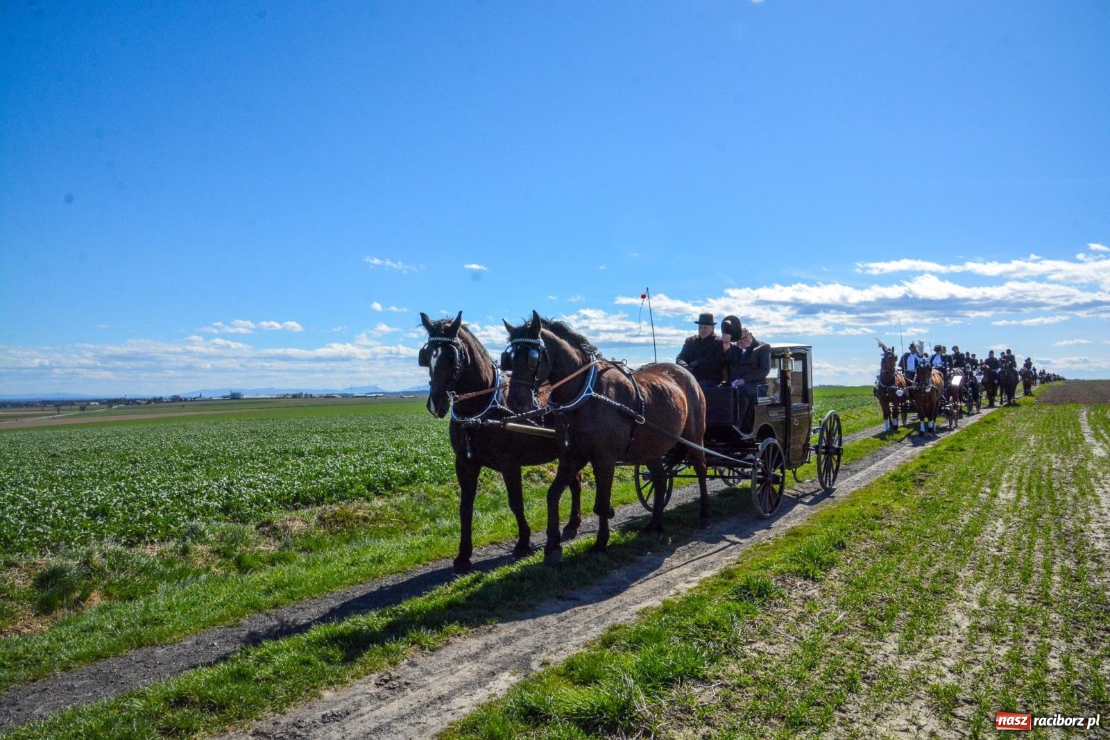Zdjęcie w galerii na portalu naszraciborz.pl: Bieńkowice: średniowieczna tradycja wciąż żywa - ponad sto koni w procesji [FOTO i WIDEO] wiadomości z regionu