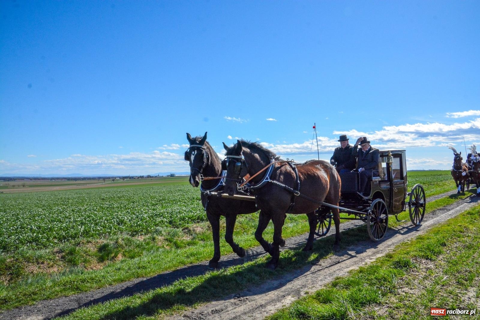 Zdjęcie w galerii na portalu naszraciborz.pl: Bieńkowice: średniowieczna tradycja wciąż żywa - ponad sto koni w procesji [FOTO i WIDEO] wiadomości z regionu