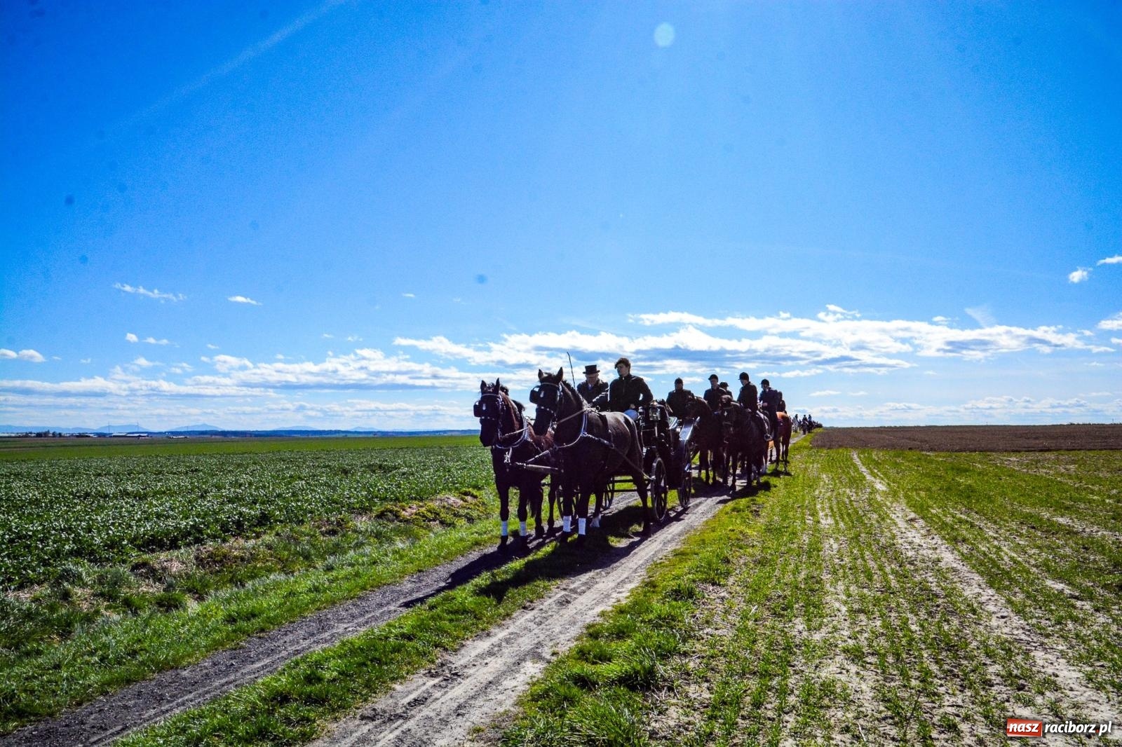 Zdjęcie w galerii na portalu naszraciborz.pl: Bieńkowice: średniowieczna tradycja wciąż żywa - ponad sto koni w procesji [FOTO i WIDEO] wiadomości z regionu
