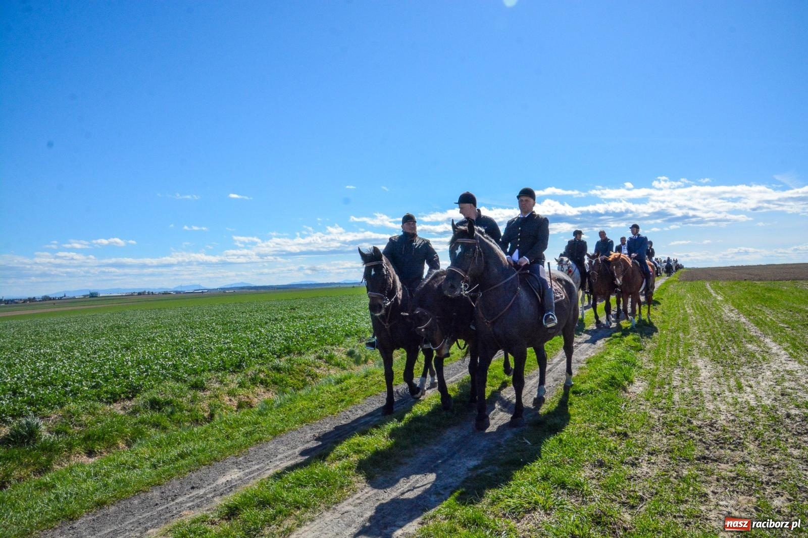 Zdjęcie w galerii na portalu naszraciborz.pl: Bieńkowice: średniowieczna tradycja wciąż żywa - ponad sto koni w procesji [FOTO i WIDEO] wiadomości z regionu