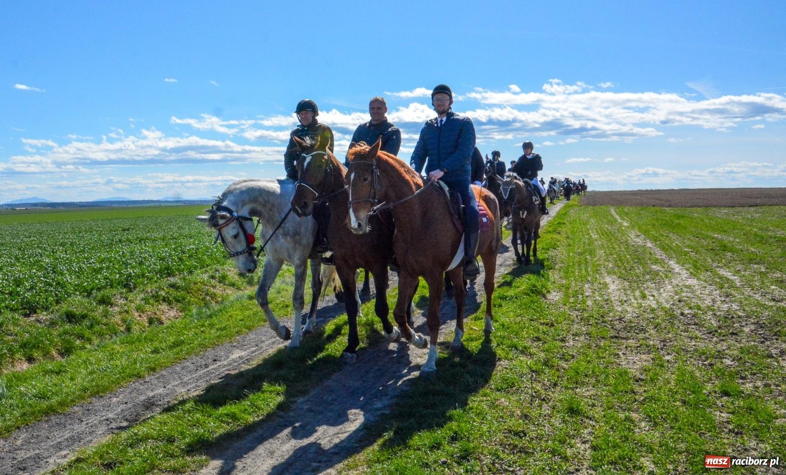 Zdjęcie w galerii na portalu naszraciborz.pl: Bieńkowice: średniowieczna tradycja wciąż żywa - ponad sto koni w procesji [FOTO i WIDEO] wiadomości z regionu