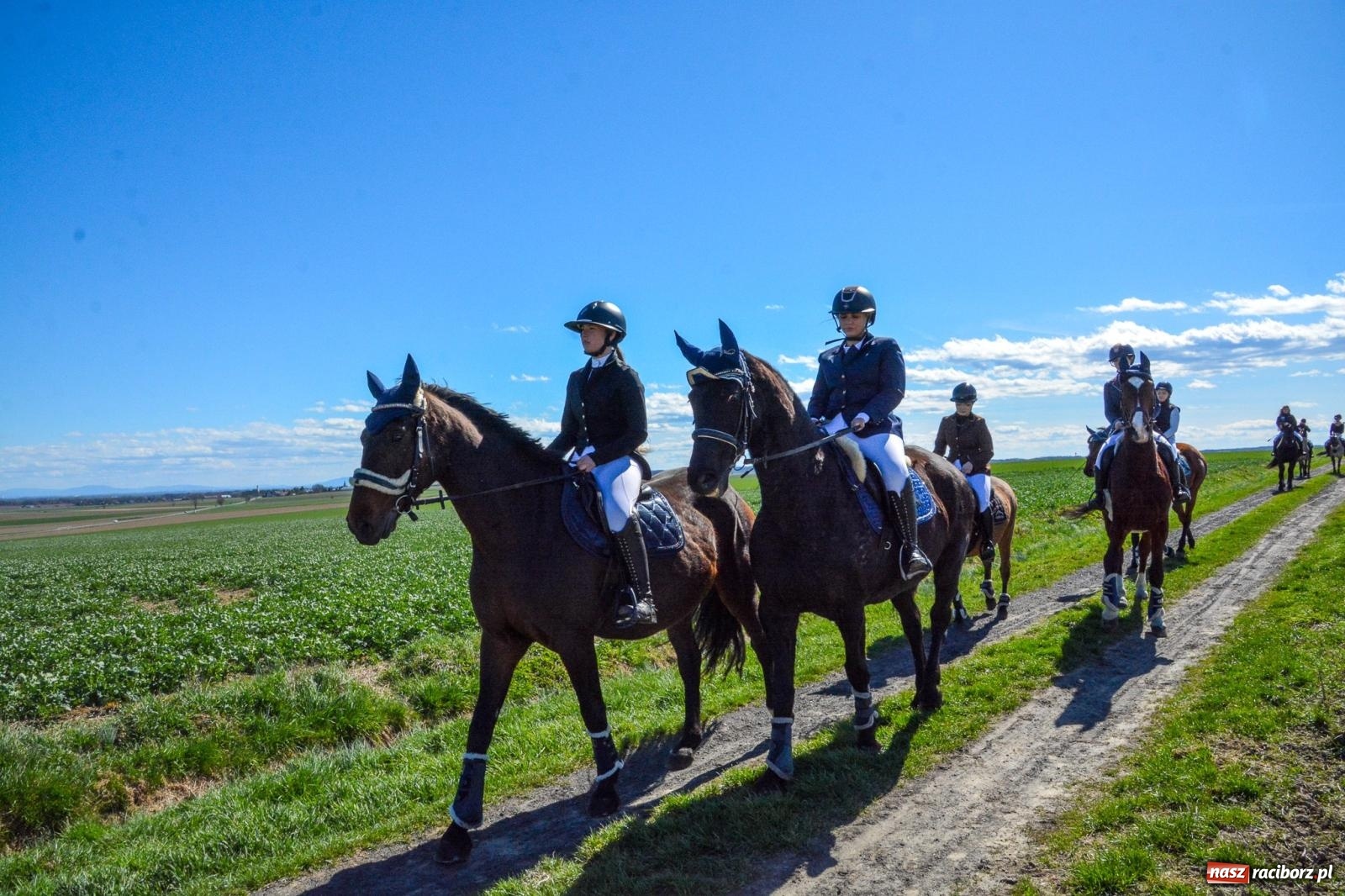 Zdjęcie w galerii na portalu naszraciborz.pl: Bieńkowice: średniowieczna tradycja wciąż żywa - ponad sto koni w procesji [FOTO i WIDEO] wiadomości z regionu