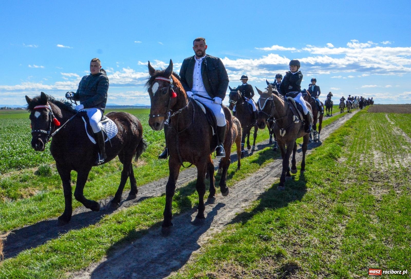 Zdjęcie w galerii na portalu naszraciborz.pl: Bieńkowice: średniowieczna tradycja wciąż żywa - ponad sto koni w procesji [FOTO i WIDEO] wiadomości z regionu