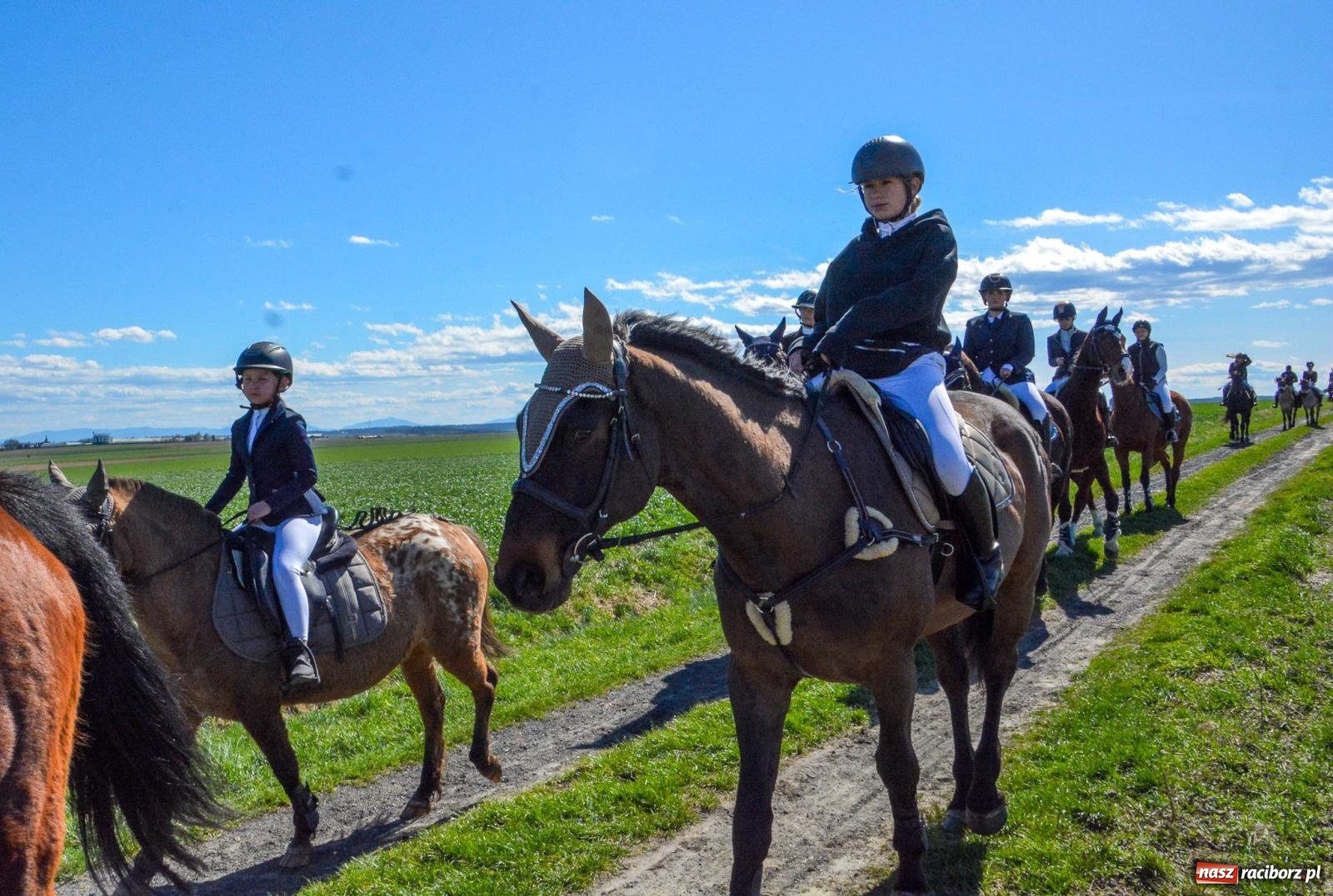 Zdjęcie w galerii na portalu naszraciborz.pl: Bieńkowice: średniowieczna tradycja wciąż żywa - ponad sto koni w procesji [FOTO i WIDEO] wiadomości z regionu