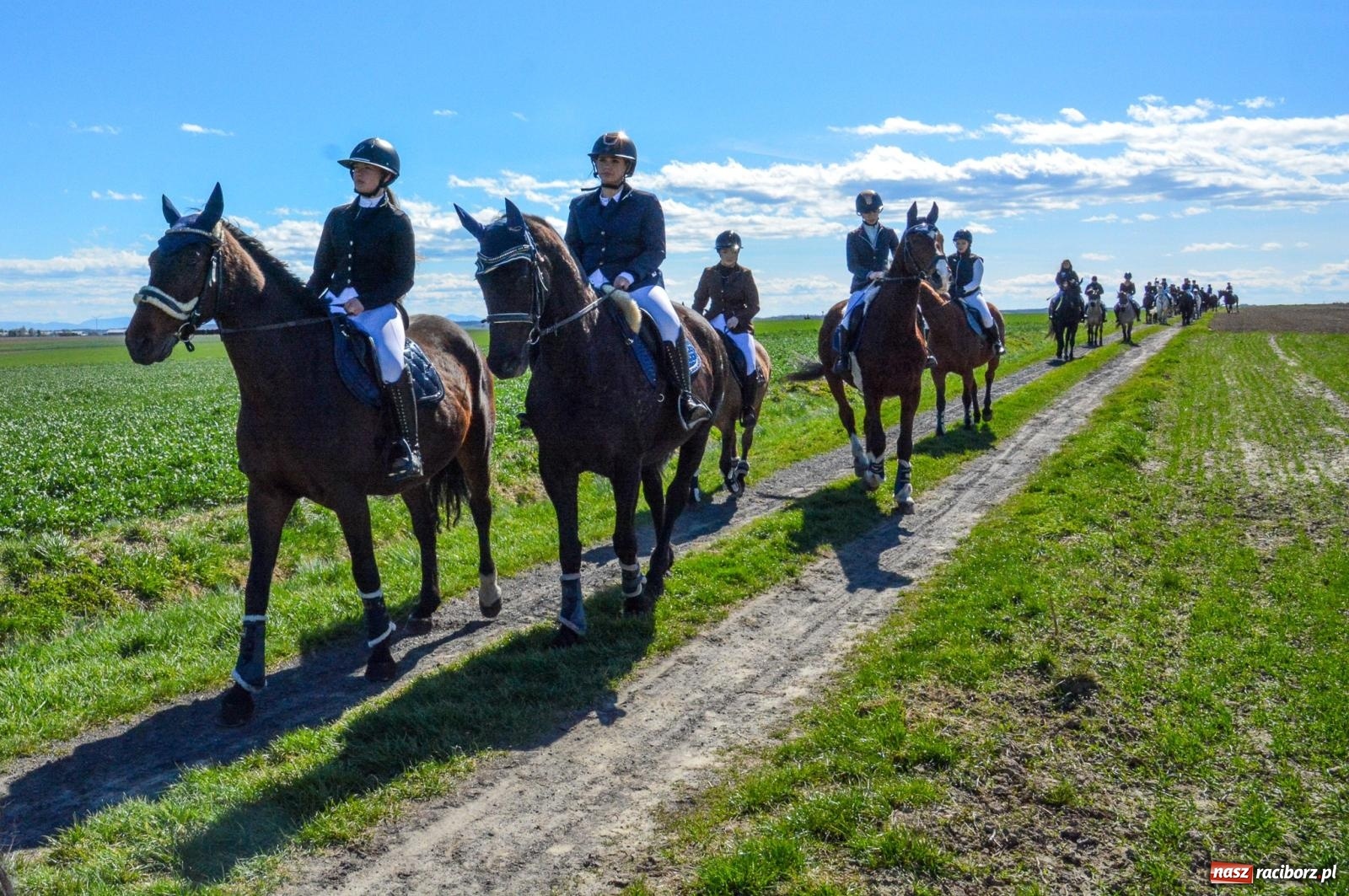 Zdjęcie w galerii na portalu naszraciborz.pl: Bieńkowice: średniowieczna tradycja wciąż żywa - ponad sto koni w procesji [FOTO i WIDEO] wiadomości z regionu