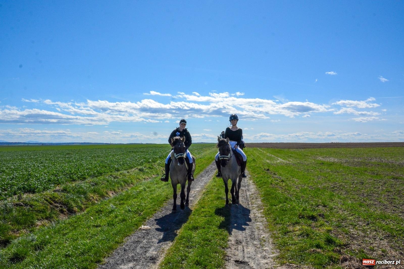 Zdjęcie w galerii na portalu naszraciborz.pl: Bieńkowice: średniowieczna tradycja wciąż żywa - ponad sto koni w procesji [FOTO i WIDEO] wiadomości z regionu