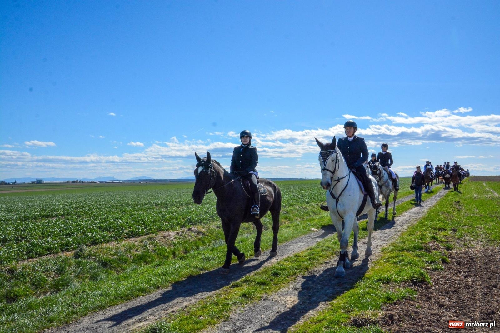 Zdjęcie w galerii na portalu naszraciborz.pl: Bieńkowice: średniowieczna tradycja wciąż żywa - ponad sto koni w procesji [FOTO i WIDEO] wiadomości z regionu