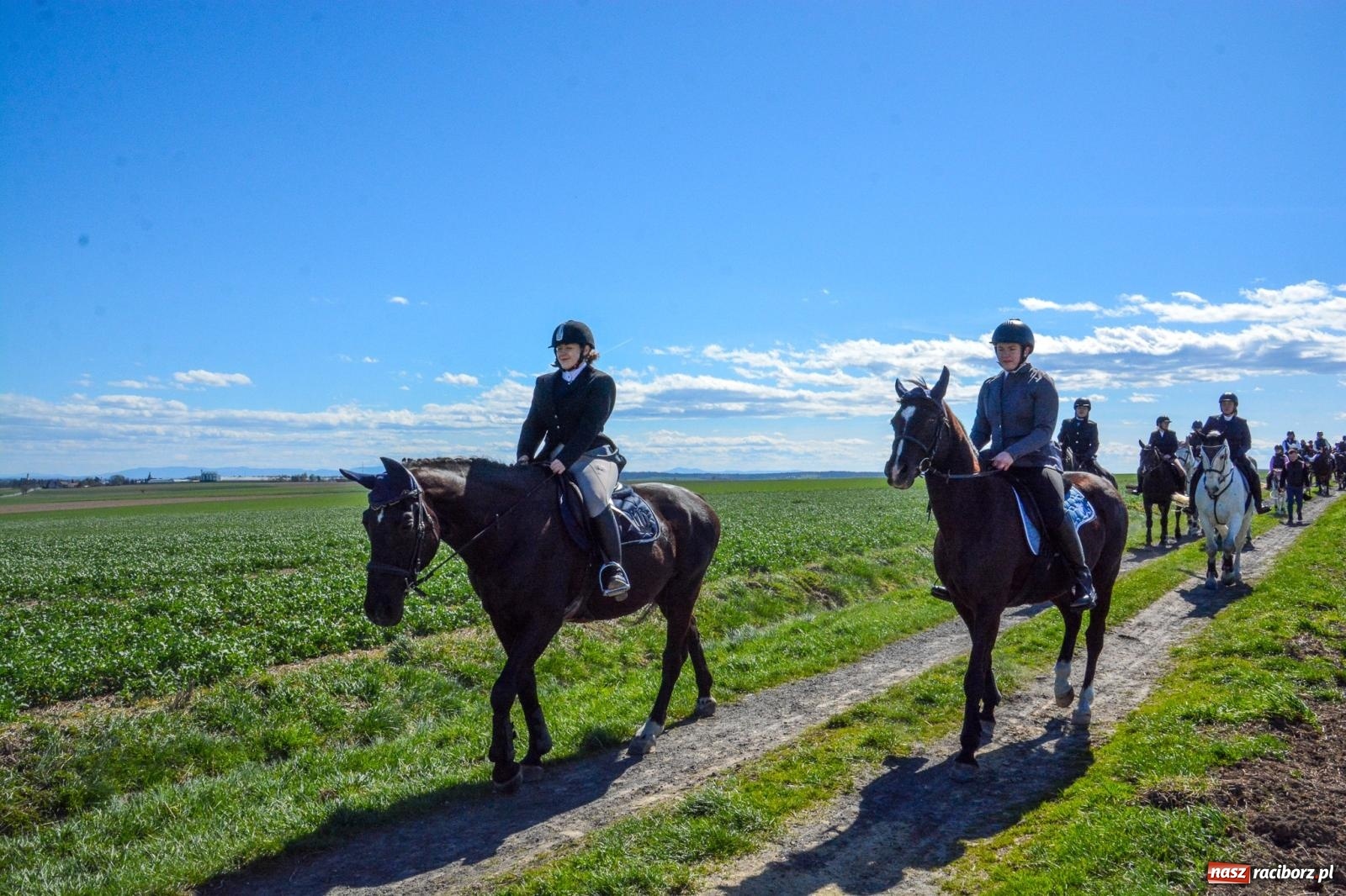 Zdjęcie w galerii na portalu naszraciborz.pl: Bieńkowice: średniowieczna tradycja wciąż żywa - ponad sto koni w procesji [FOTO i WIDEO] wiadomości z regionu